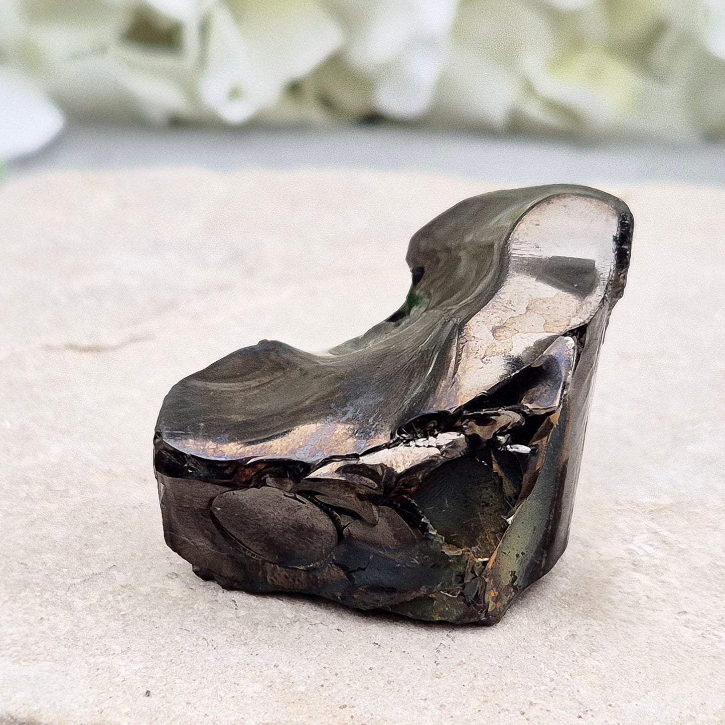 Raw Colombian Shungite in its natural form, rich and tactile. A popular choice for grounding work, energy protection, and everyday energetic support.