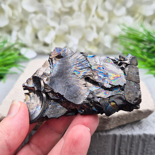 Natural Colombian Shungite pieces with a raw, earthy finish. Often chosen for grounding, protection, and creating a balanced, steady energy in your space.