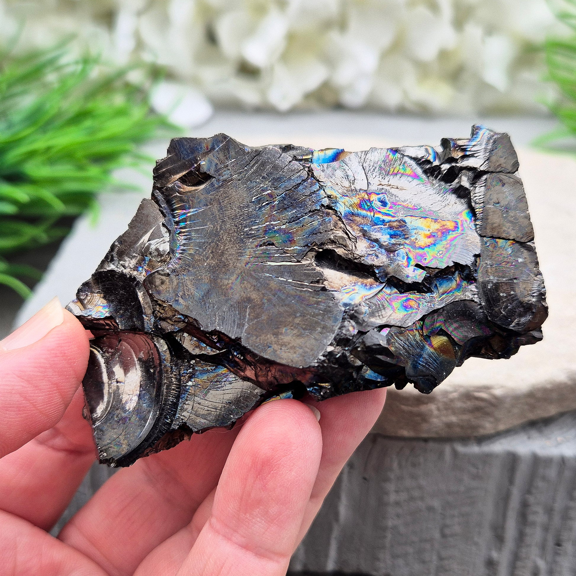 Natural Colombian Shungite pieces with a raw, earthy finish. Often chosen for grounding, protection, and creating a balanced, steady energy in your space.