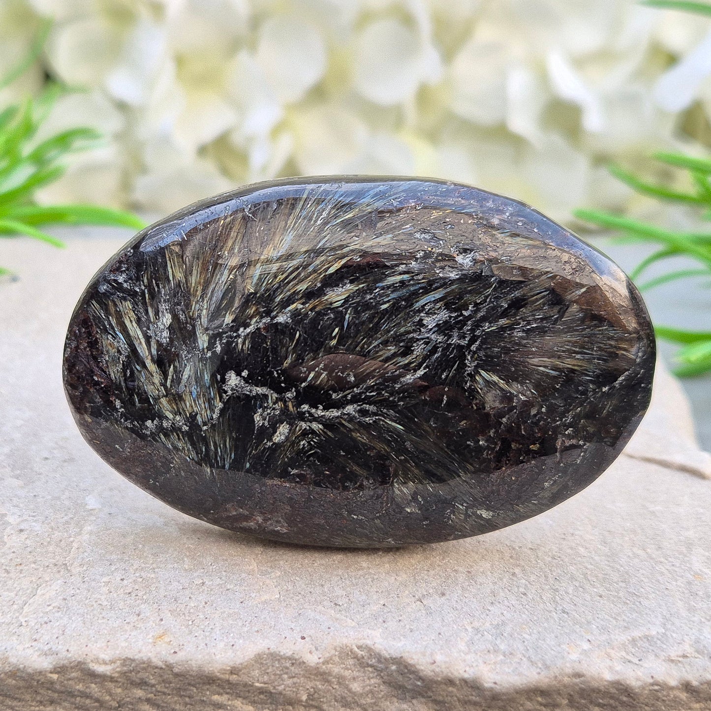 Polished arfvedsonite palm stone with a charcoal-black base and subtle blue-grey tones. Traditionally associated with grounding and intuition. Exact piece shown.
