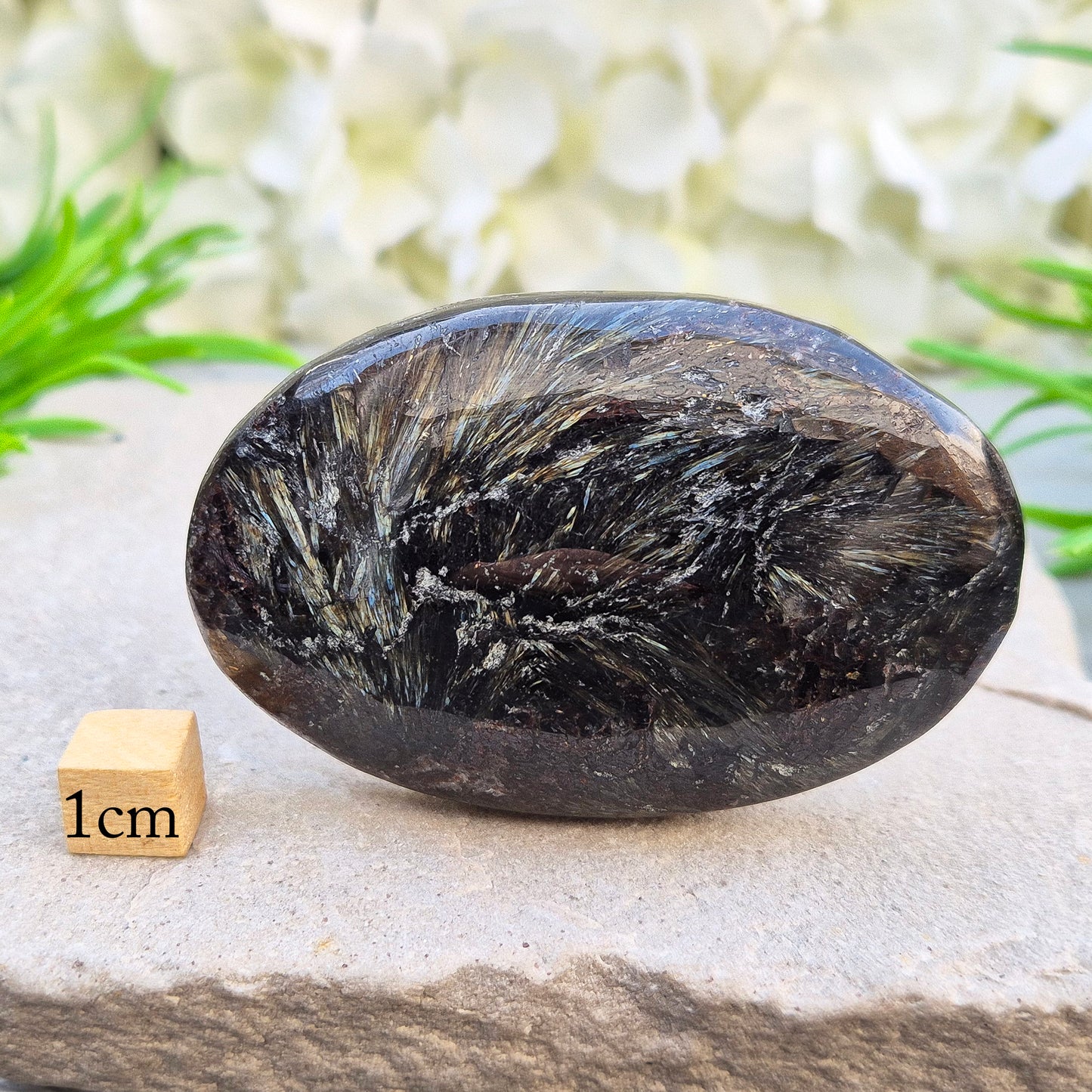 Polished arfvedsonite palm stone with a charcoal-black base and subtle blue-grey tones. Traditionally associated with grounding and intuition. Exact piece shown.