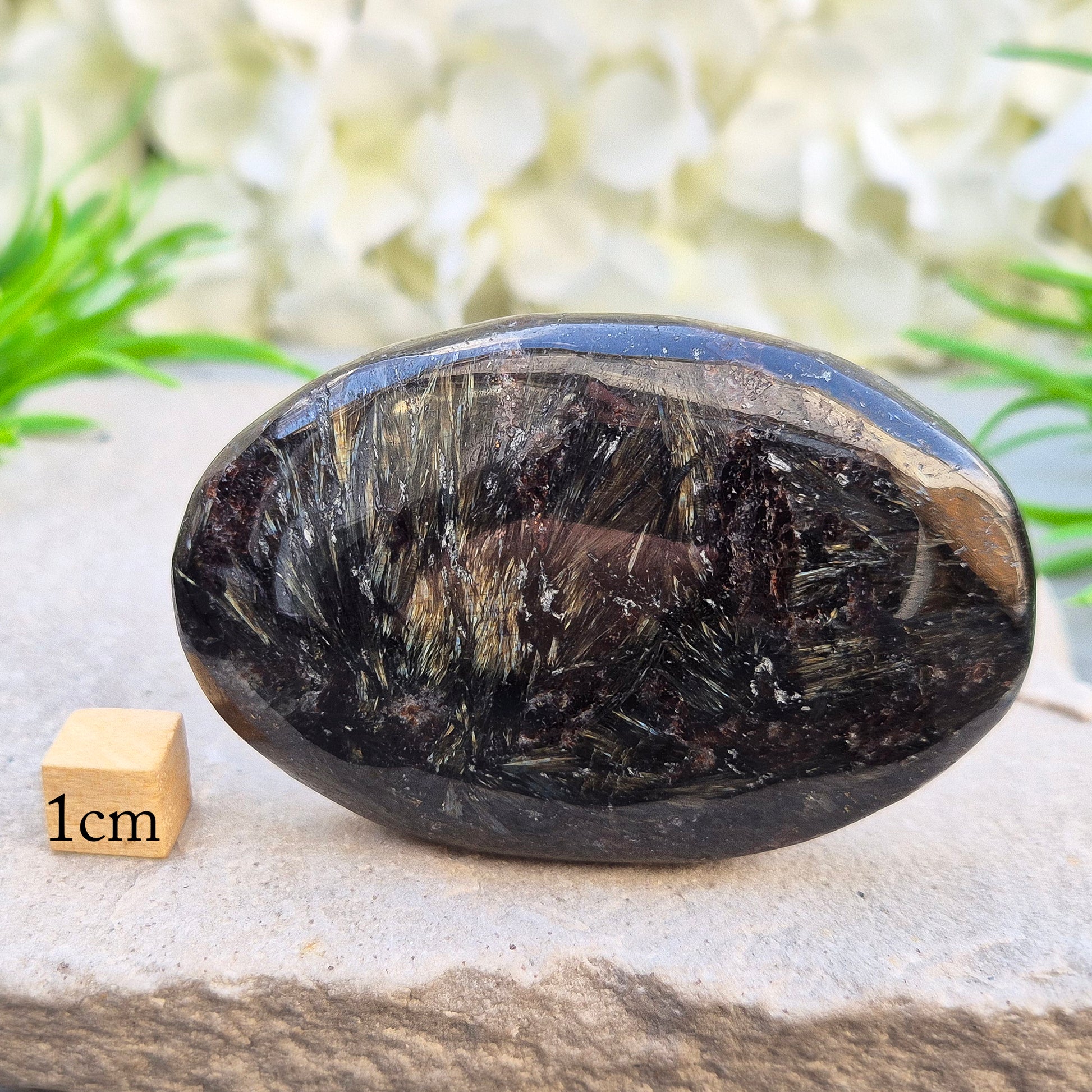 Polished arfvedsonite palm stone with a charcoal-black base and subtle blue-grey tones. Traditionally associated with grounding and intuition. Exact piece shown.