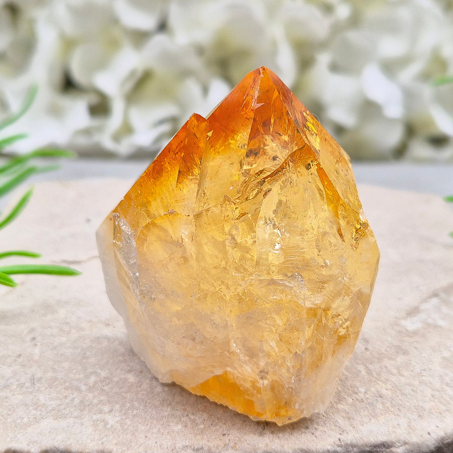 Citrine crystal standing point from Brazil with a polished tip and natural sides. Associated with confidence, motivation, positivity, and personal growth.