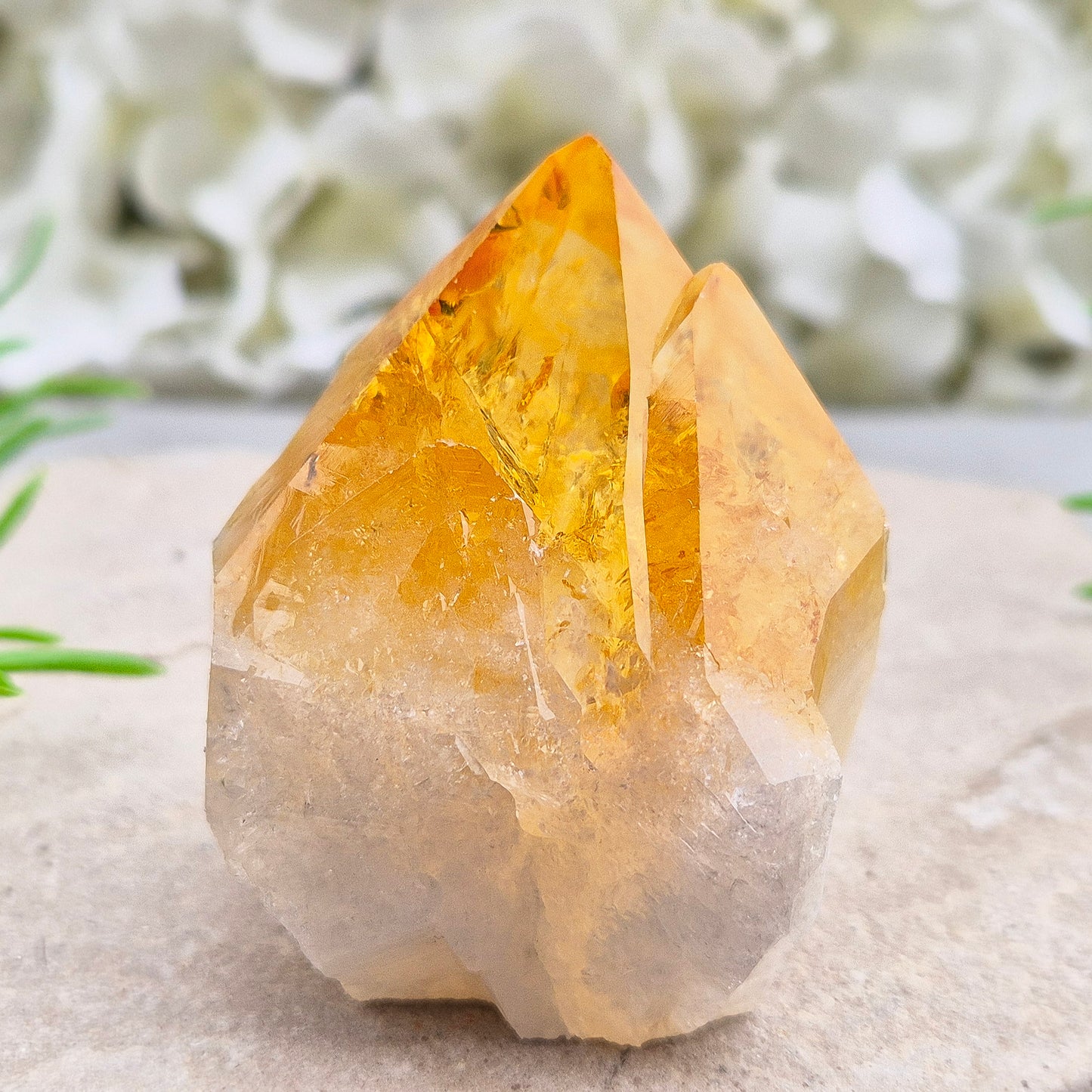 Citrine crystal standing point from Brazil with a polished tip and natural sides. Associated with confidence, motivation, positivity, and personal growth.