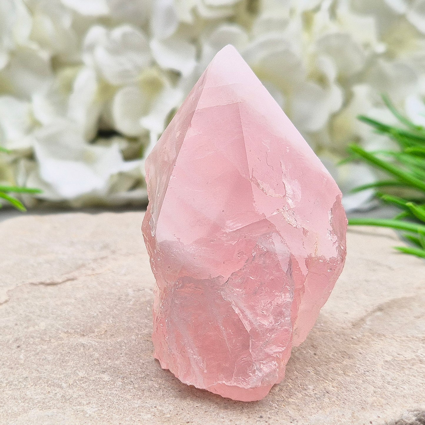 Rose Quartz standing point from Brazil. Promotes self-love, calm, and emotional healing. Perfect for display, meditation, or heart chakra work. 