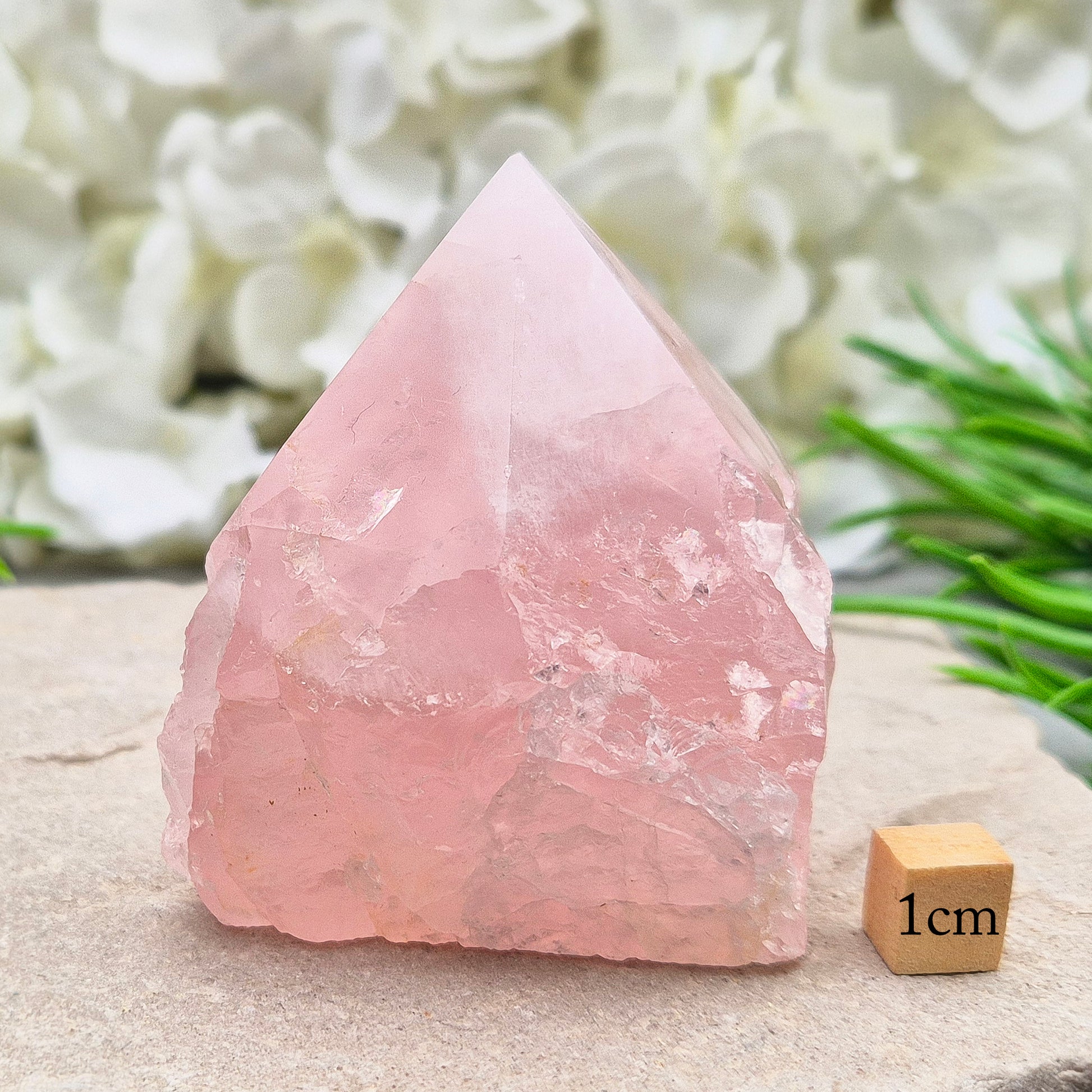 Rose Quartz standing point from Brazil. Promotes self-love, calm, and emotional healing. Perfect for display, meditation, or heart chakra work. 