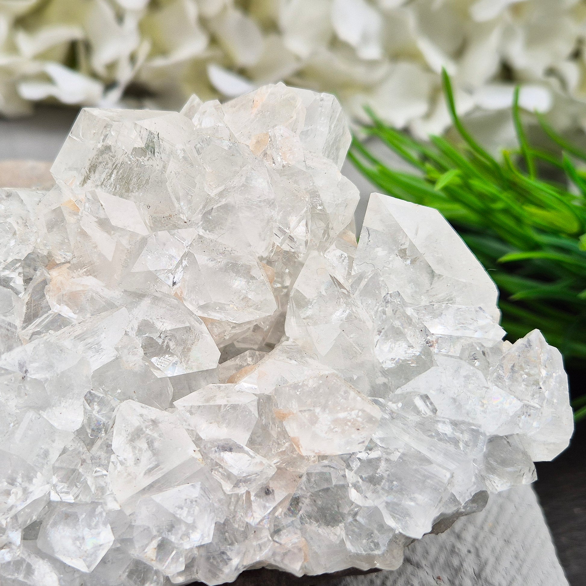 Natural Apophyllite crystal cluster from India, known for its calm, uplifting presence. A beautiful display piece often chosen for reflection and spiritual spaces.