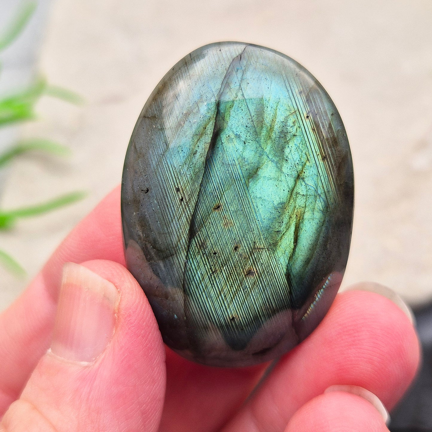 Labradorite Crystal Palm Stone