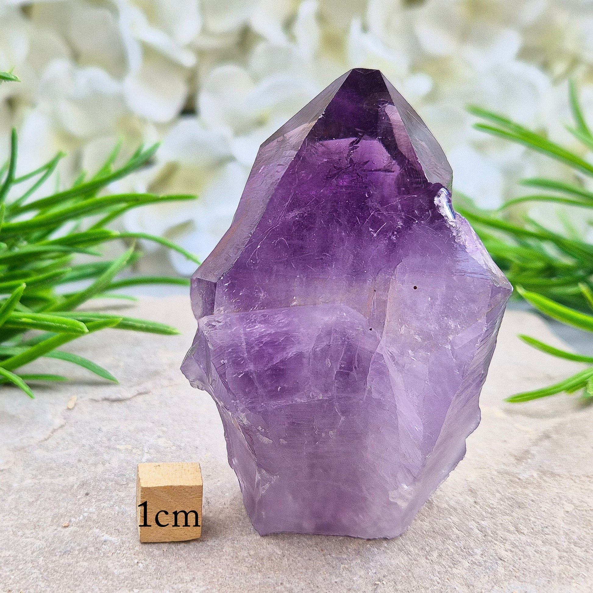 Brazilian Amethyst standing point with natural sides and polished tip. A popular calming crystal for stress relief and quiet reflection spaces.