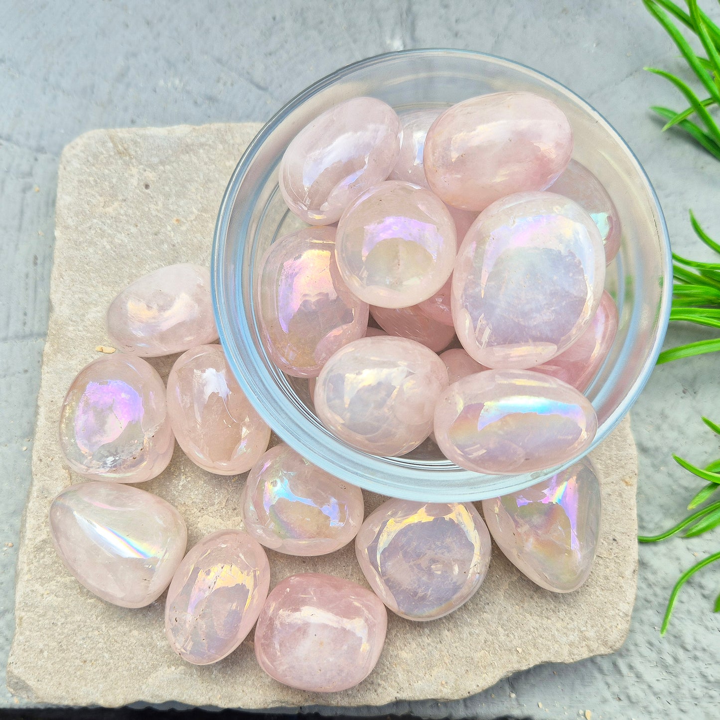 Rose Quartz Aura tumblestone, polished pink crystals with iridescent sheen. Heart chakra stones for emotional support and meaningful crystal gifts.