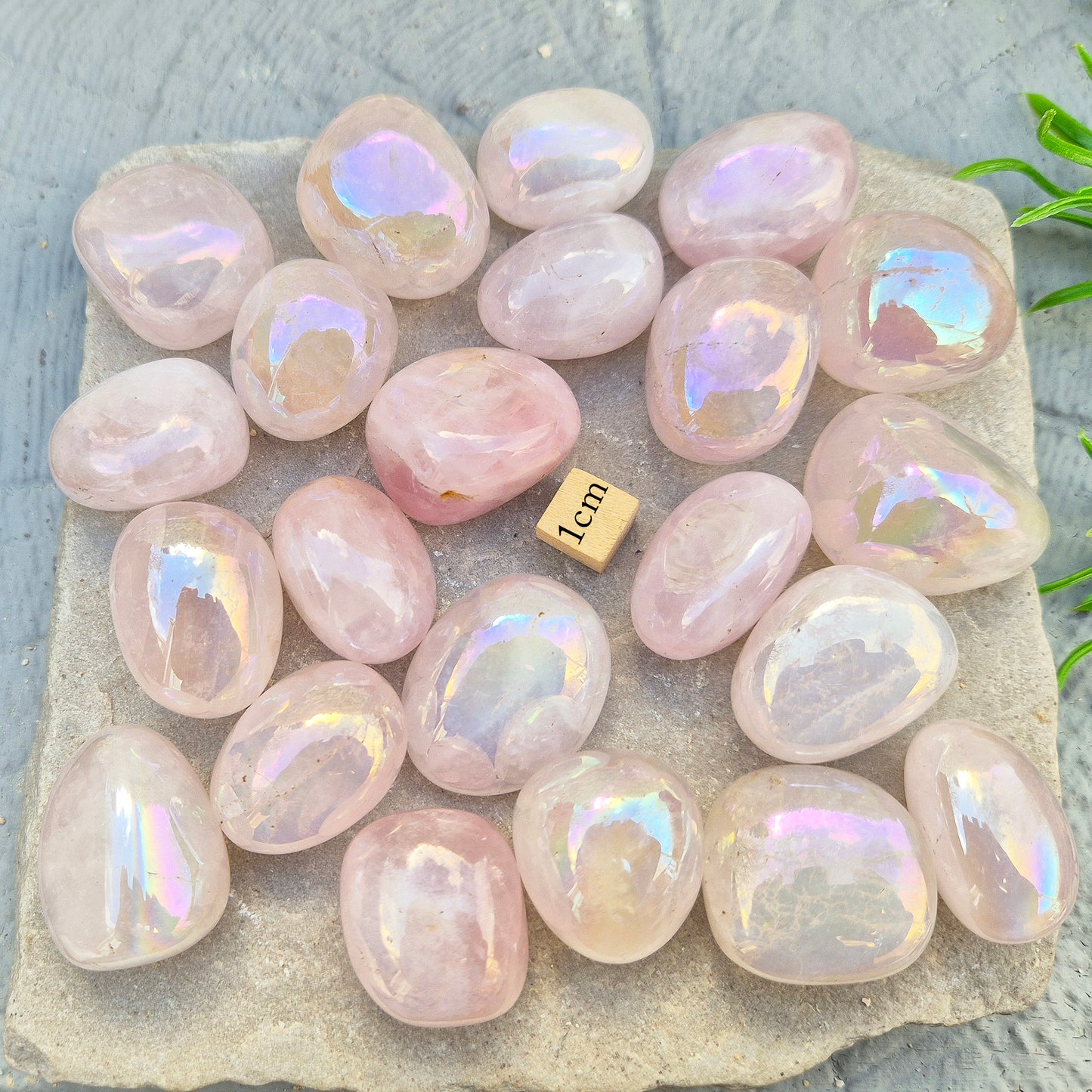 Rose Quartz Aura tumblestone, polished pink crystals with iridescent sheen. Heart chakra stones for emotional support and meaningful crystal gifts.