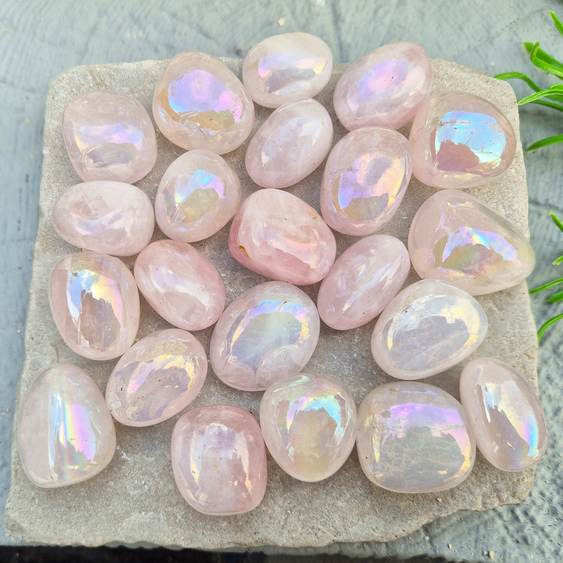 Rose Quartz Aura tumblestone, polished pink crystals with iridescent sheen. Heart chakra stones for emotional support and meaningful crystal gifts.