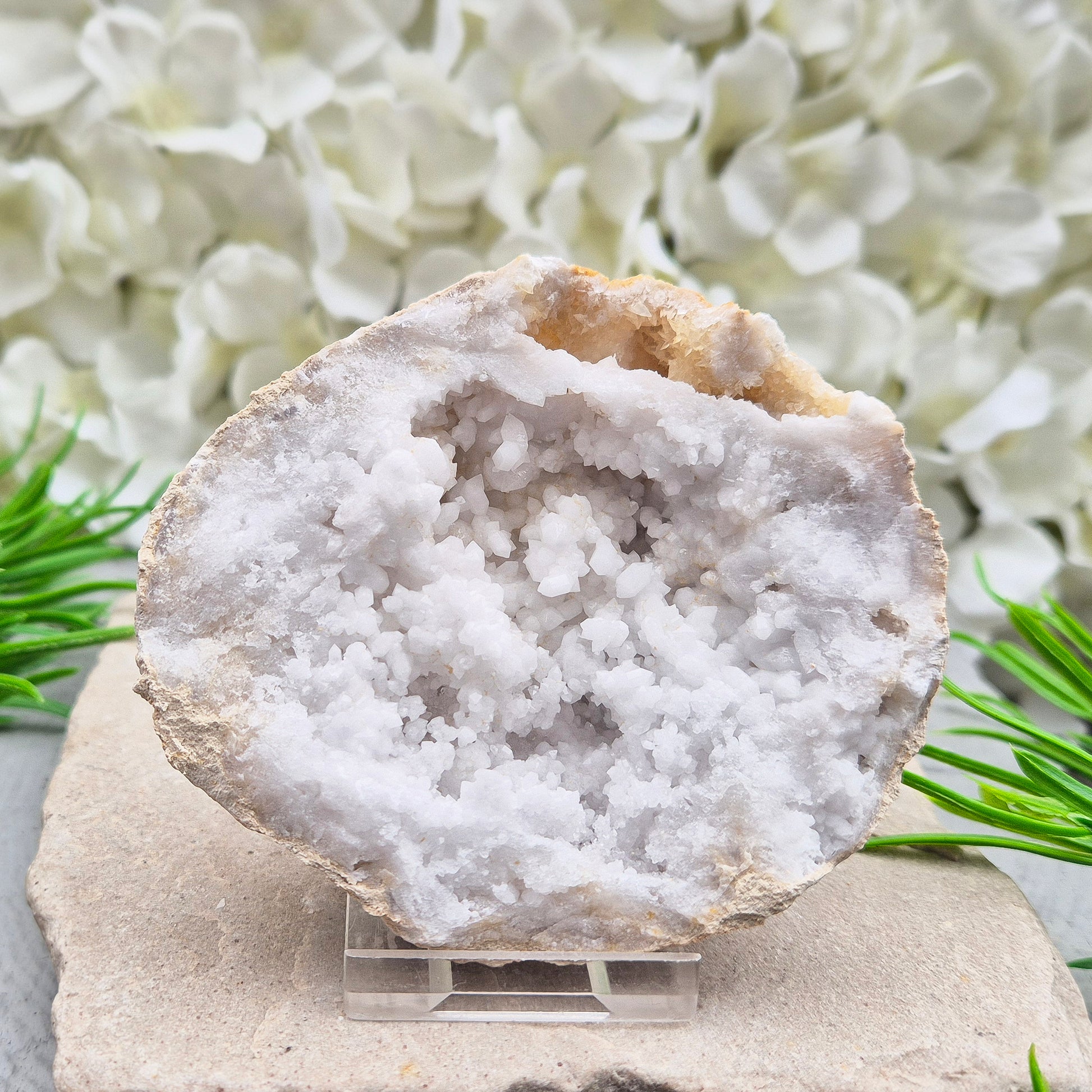 Quartz geode pair that brings a soothing, balanced atmosphere to any room. A lovely choice for home styling, meditation, and crystal lovers.