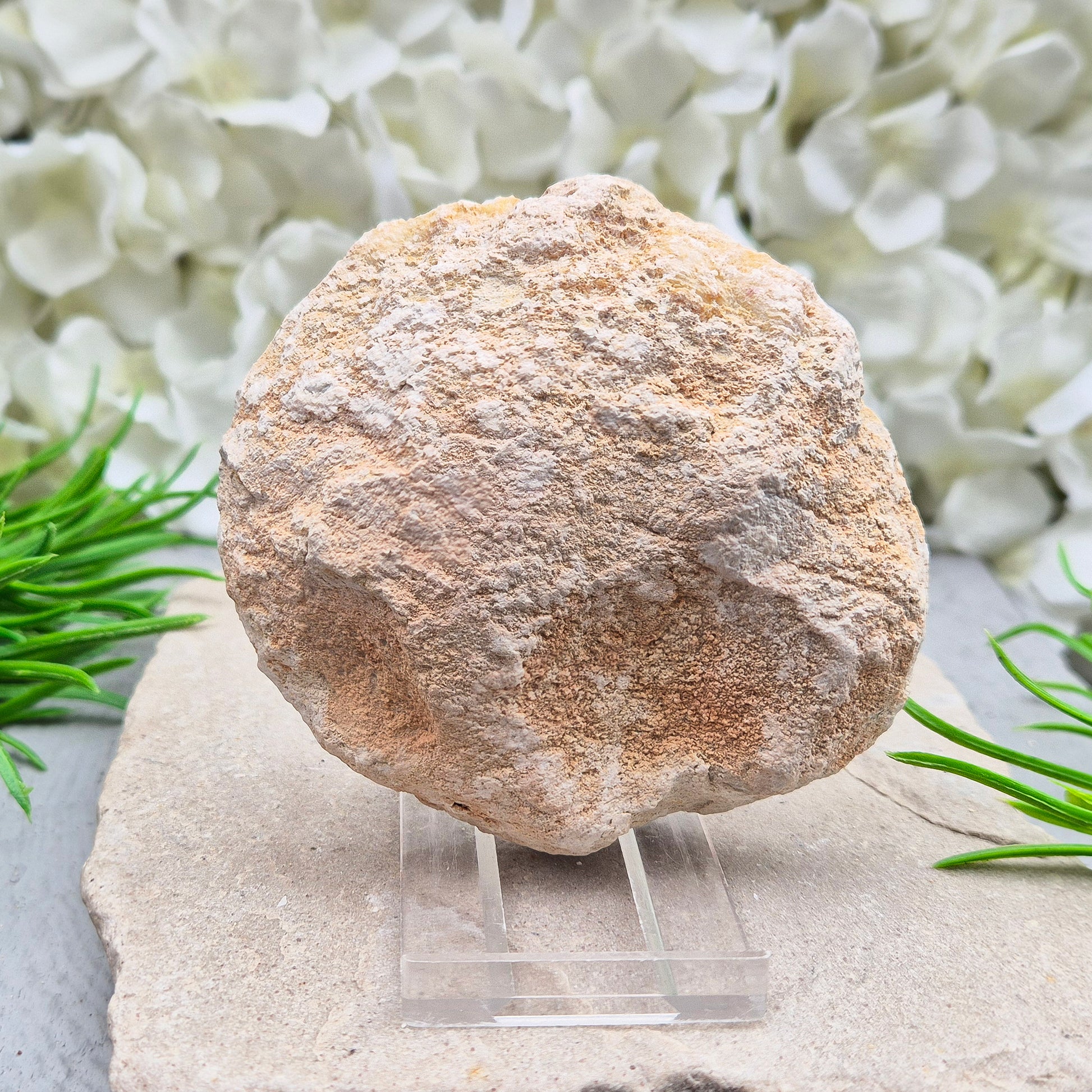 Quartz geode pair that brings a soothing, balanced atmosphere to any room. A lovely choice for home styling, meditation, and crystal lovers.