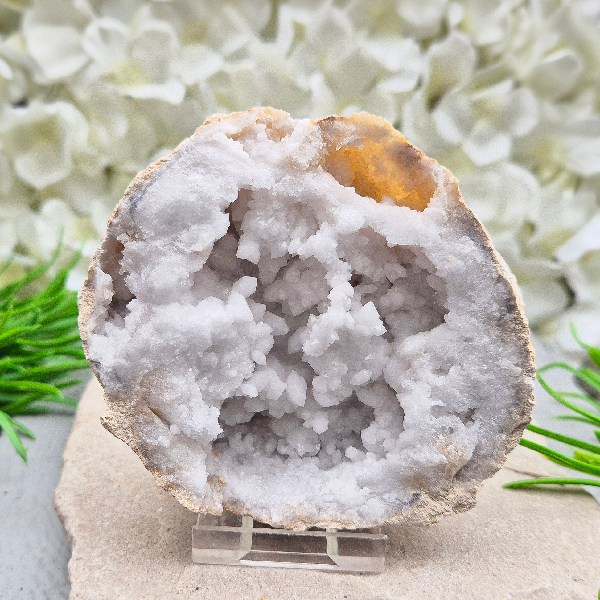 Quartz geode pair that brings a soothing, balanced atmosphere to any room. A lovely choice for home styling, meditation, and crystal lovers.