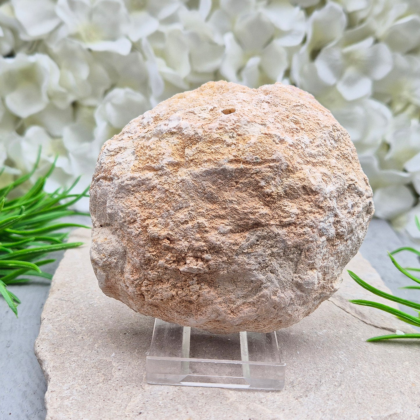 Quartz Crystal Geode Pair, with acrylic stands included