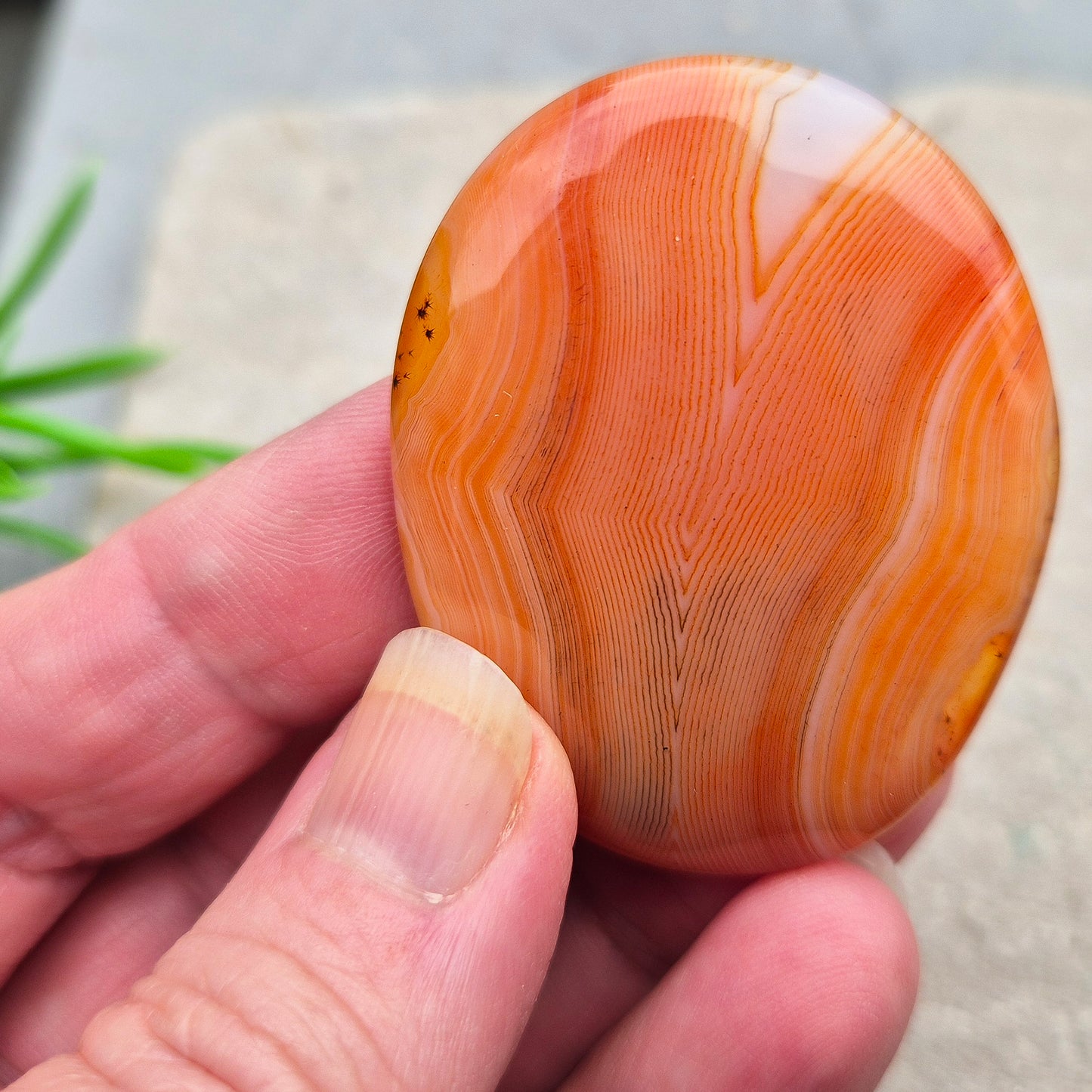 Banded Carnelian palm stone from Madagascar. Boosts motivation, confidence and creativity. Grounding Root and Sacral crystal for energy and focus. 