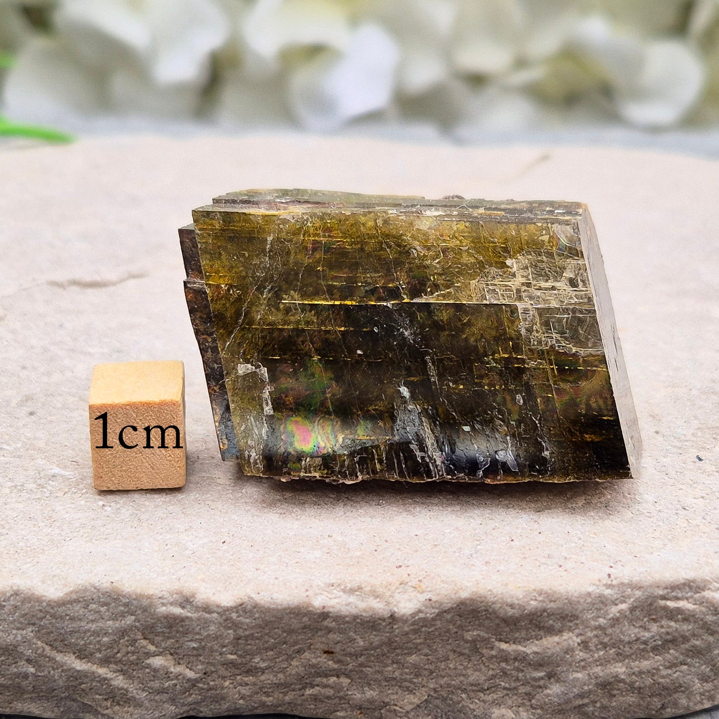 Natural Siderite from Brazil with earthy tones and subtle shine. Grounding Root and Solar Plexus crystal supporting strength, resilience and steady confidence.
