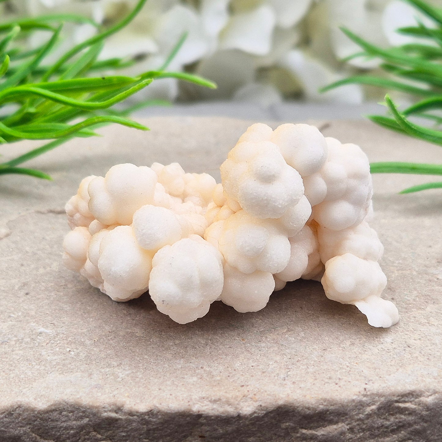 Cave Calcite (Aragonite) – A unique crystal valued for its stabilizing energy, focus, and natural beauty. A must-have for any crystal collection.
