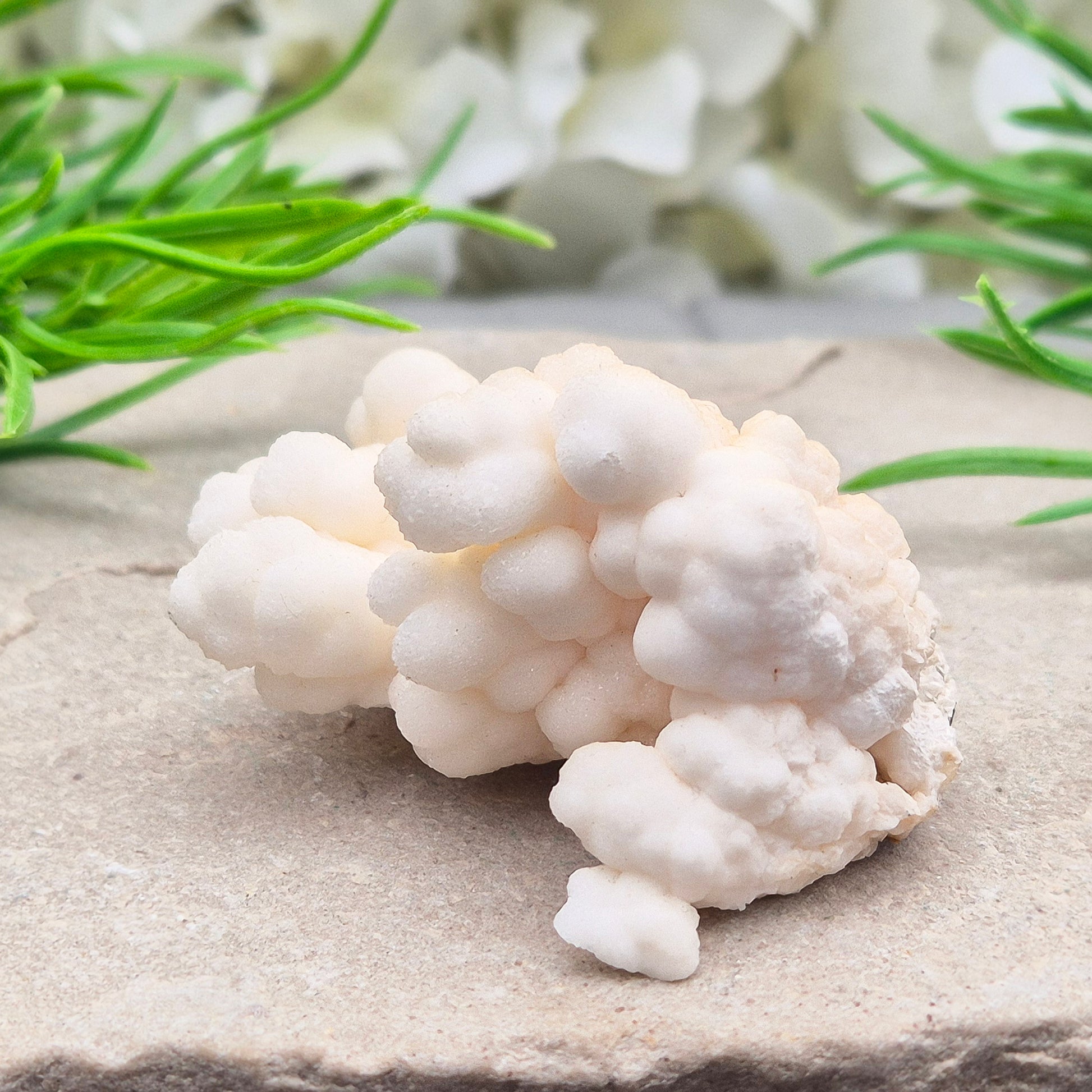 Cave Calcite (Aragonite) – A unique crystal valued for its stabilizing energy, focus, and natural beauty. A must-have for any crystal collection.