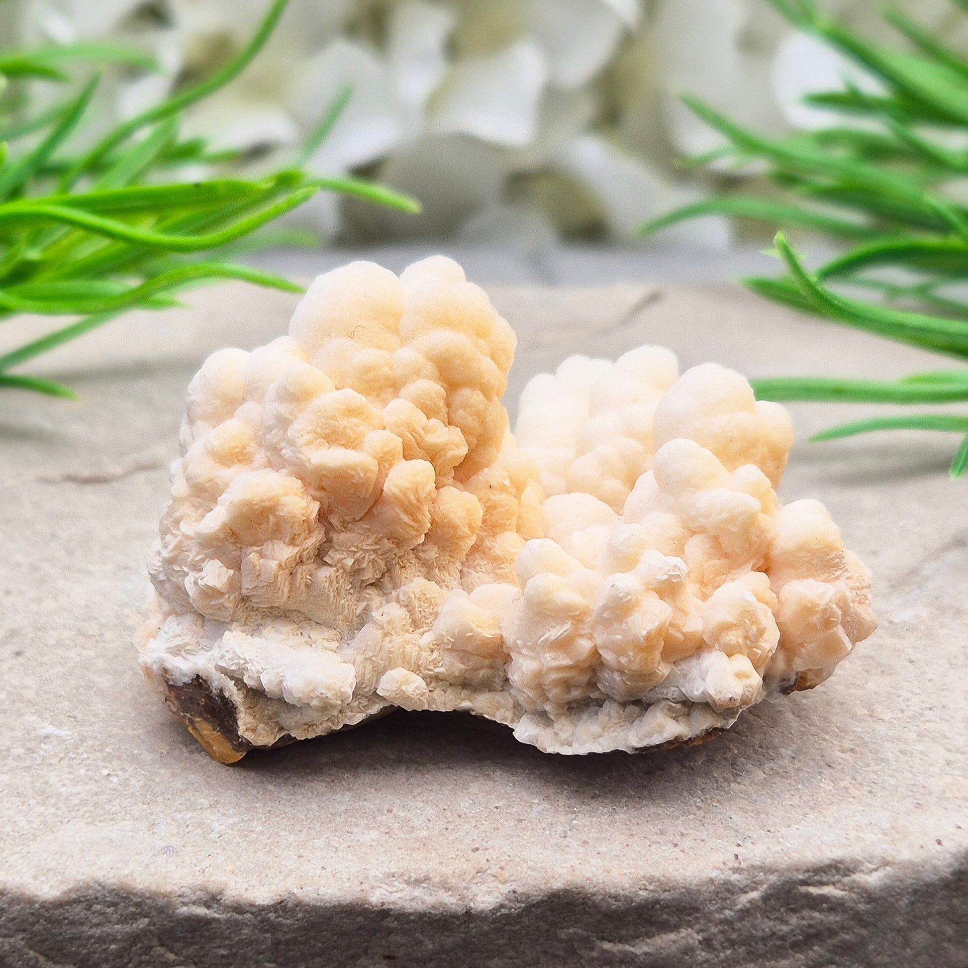 Cave Calcite (Aragonite) – A unique crystal valued for its stabilizing energy, focus, and natural beauty. A must-have for any crystal collection.
