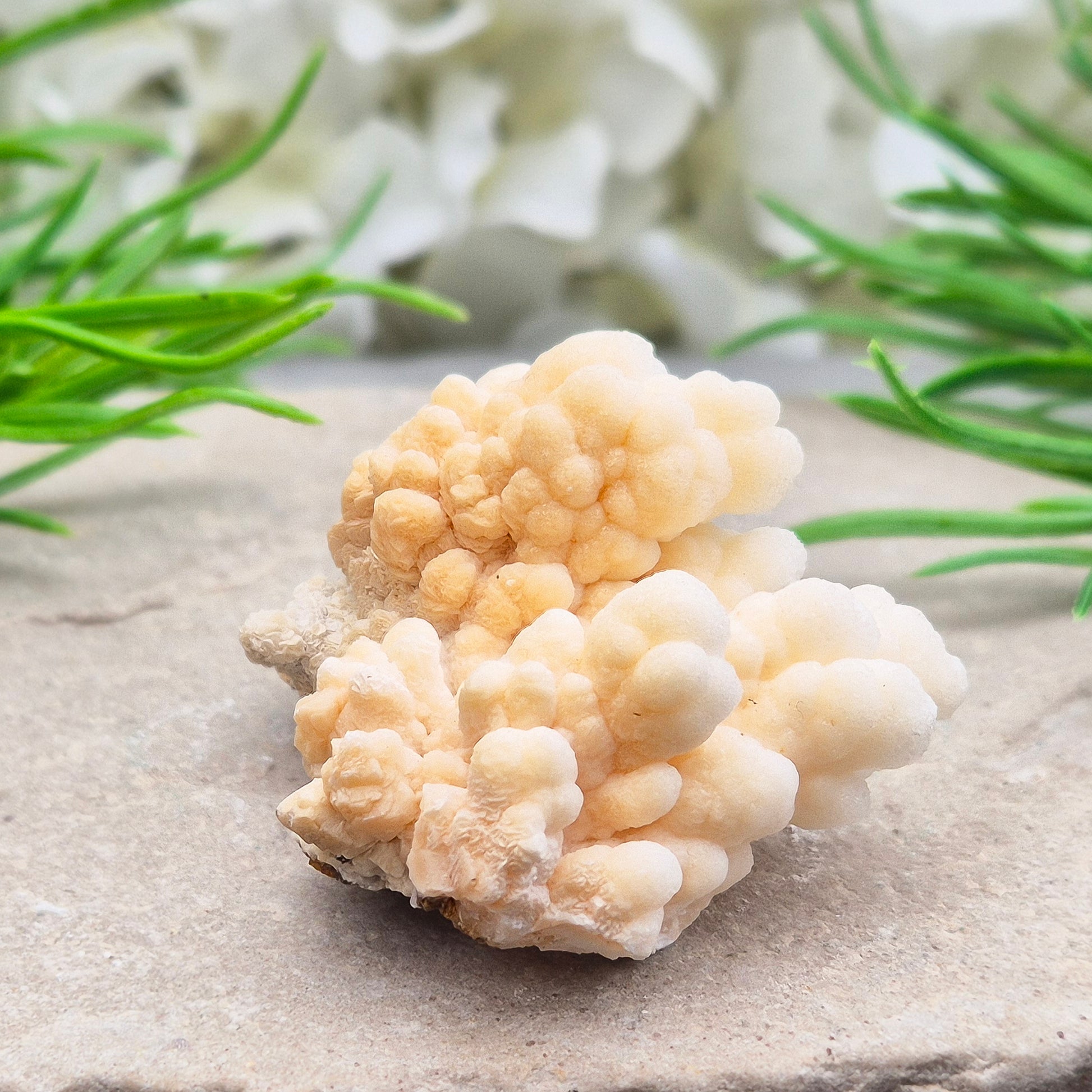Cave Calcite (Aragonite) – A unique crystal valued for its stabilizing energy, focus, and natural beauty. A must-have for any crystal collection.