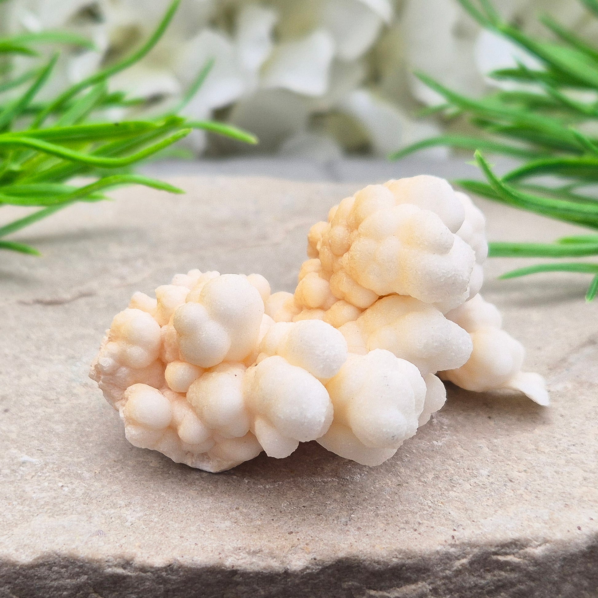 Cave Calcite (Aragonite) – A unique crystal valued for its stabilizing energy, focus, and natural beauty. A must-have for any crystal collection.