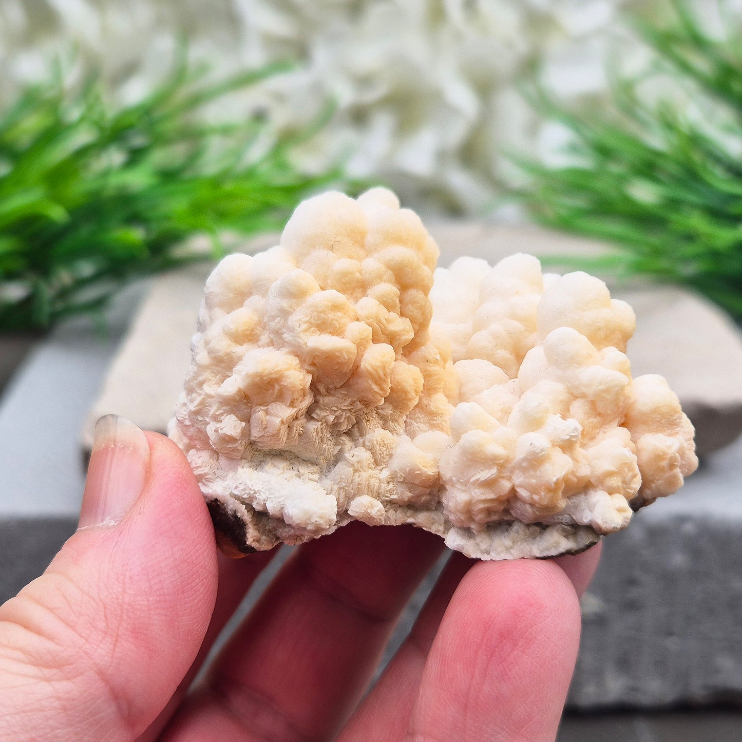 Cave Calcite (Aragonite) – A unique crystal valued for its stabilizing energy, focus, and natural beauty. A must-have for any crystal collection.
