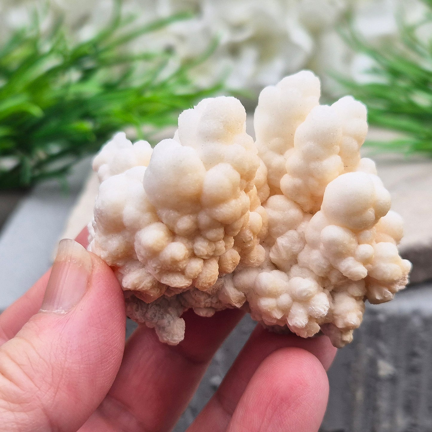 Cave Calcite (Aragonite) – A unique crystal valued for its stabilizing energy, focus, and natural beauty. A must-have for any crystal collection.