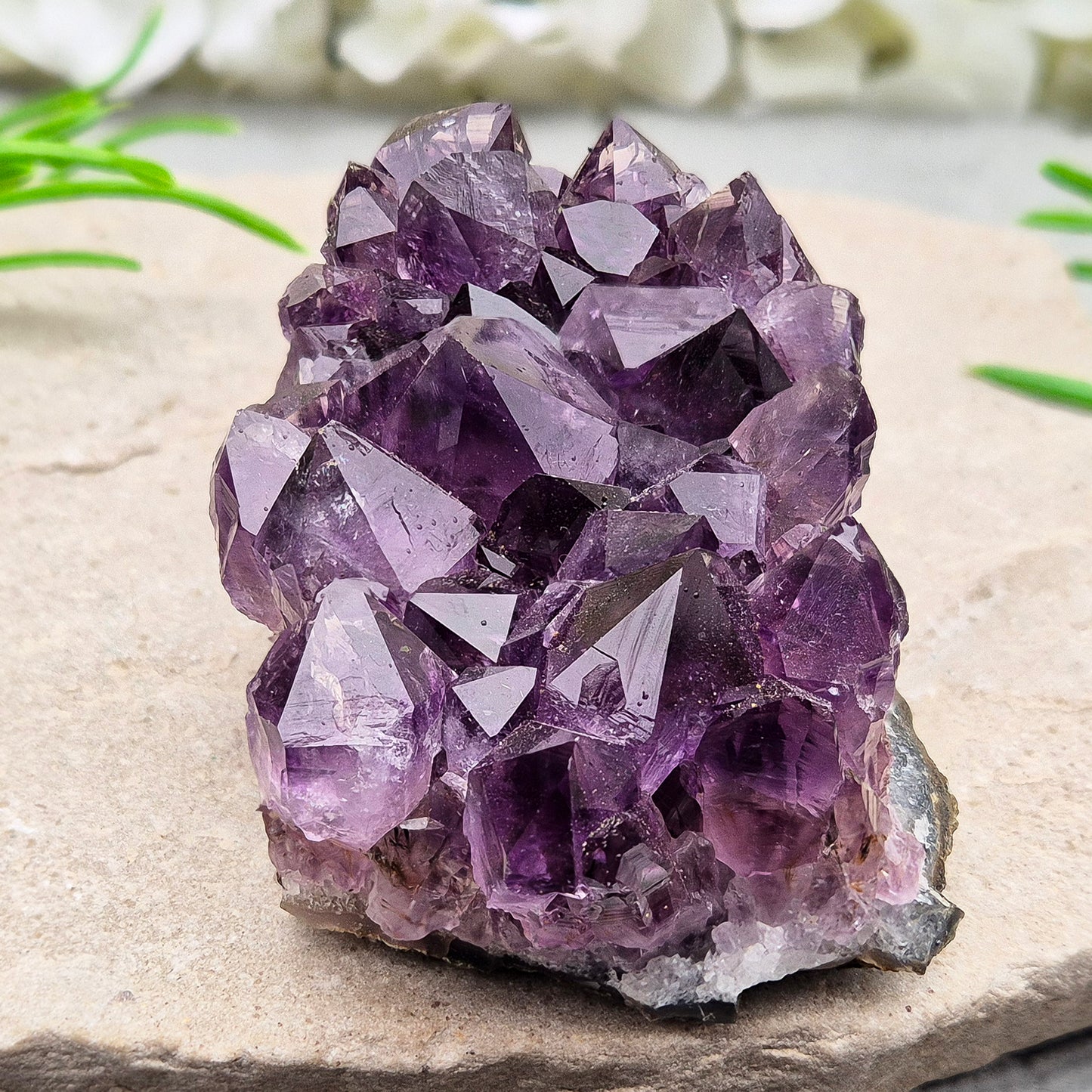 A grade Brazilian Amethyst cluster with deep purple points. A calming crystal for peaceful home spaces, bedrooms, and thoughtful crystal gifts.