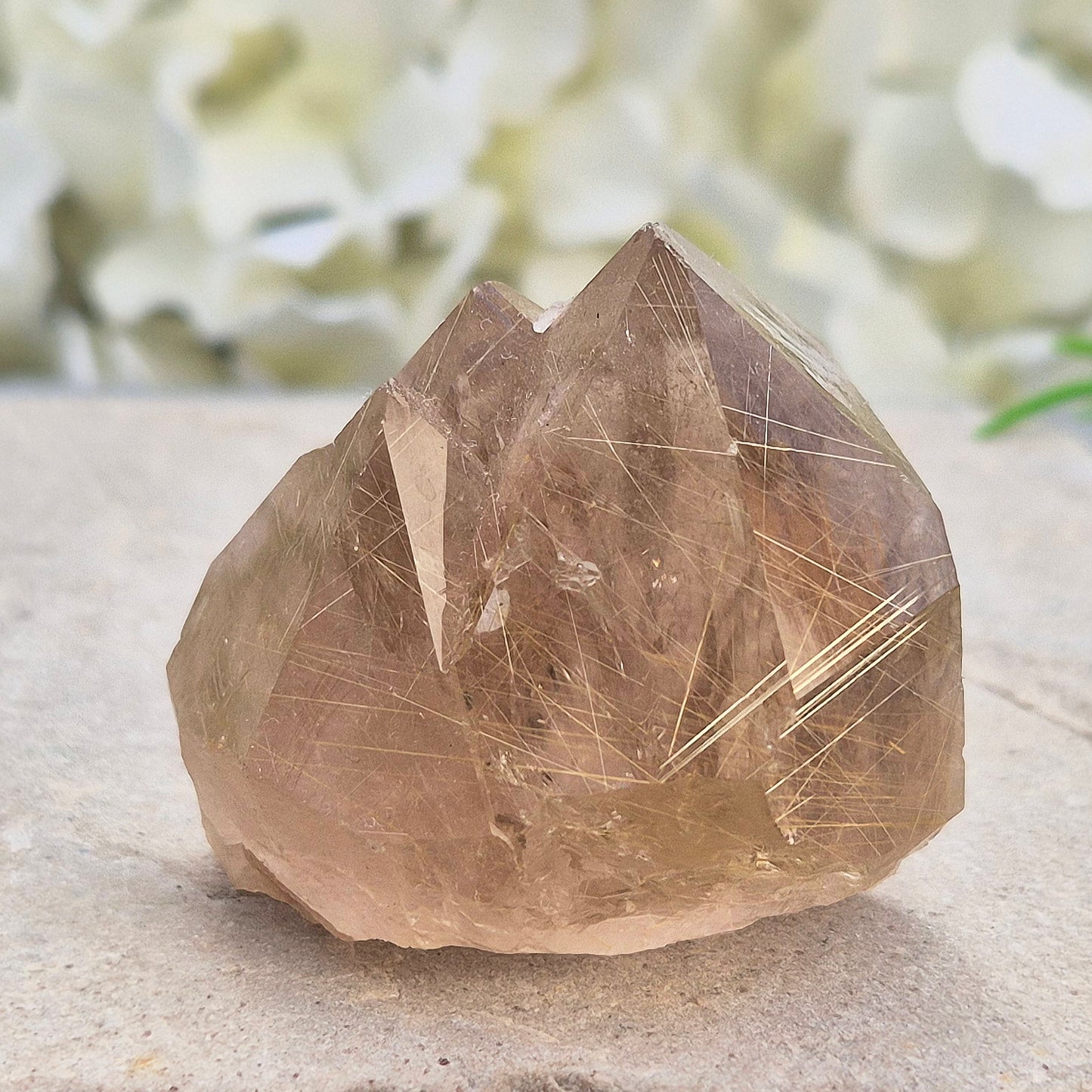 Golden Rutilated Quartz multi-point crystal from Brazil featuring fine golden rutile needles. A striking natural specimen associated with focus, motivation, and fresh ideas.