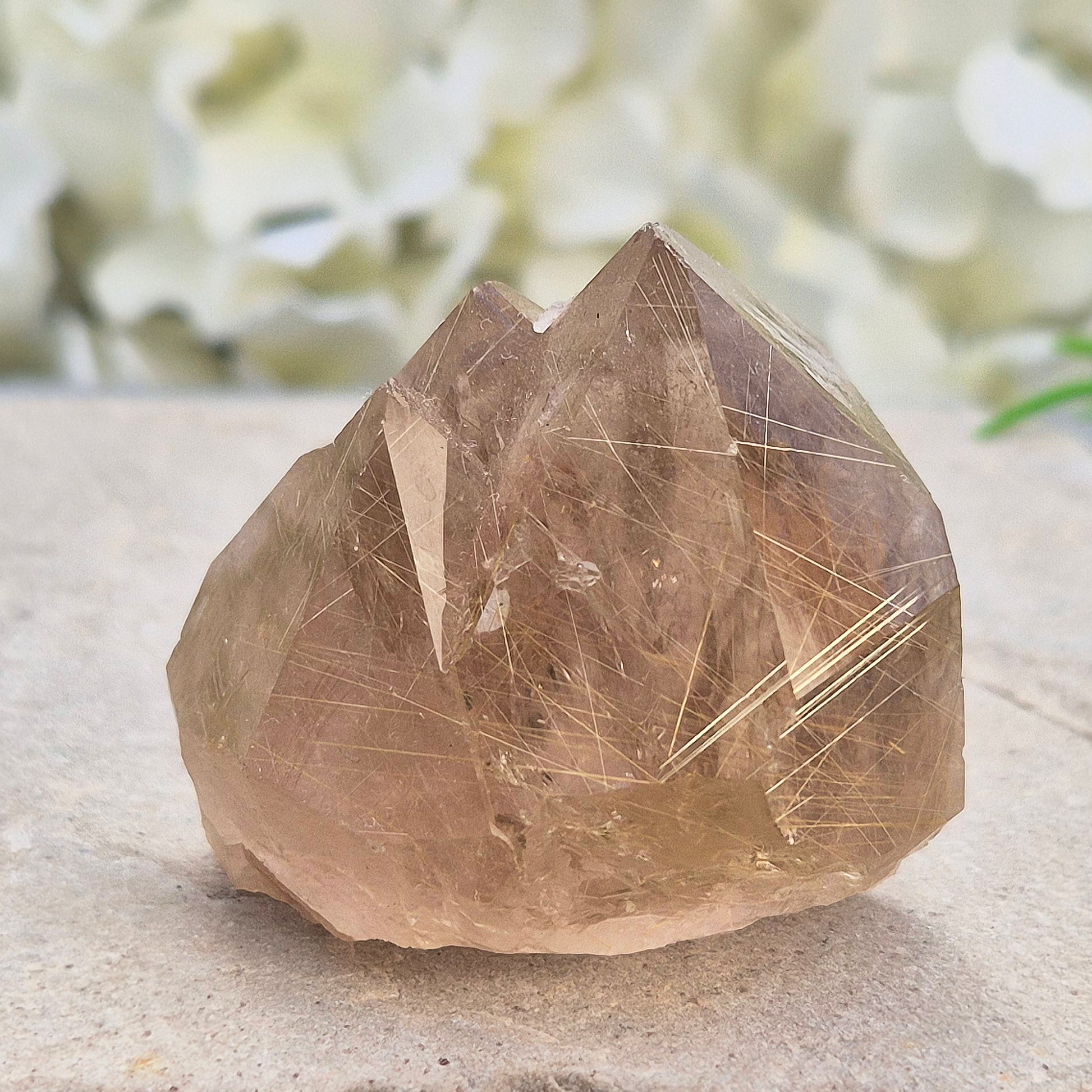 Golden Rutilated Quartz multi-point crystal from Brazil featuring fine golden rutile needles. A striking natural specimen associated with focus, motivation, and fresh ideas.