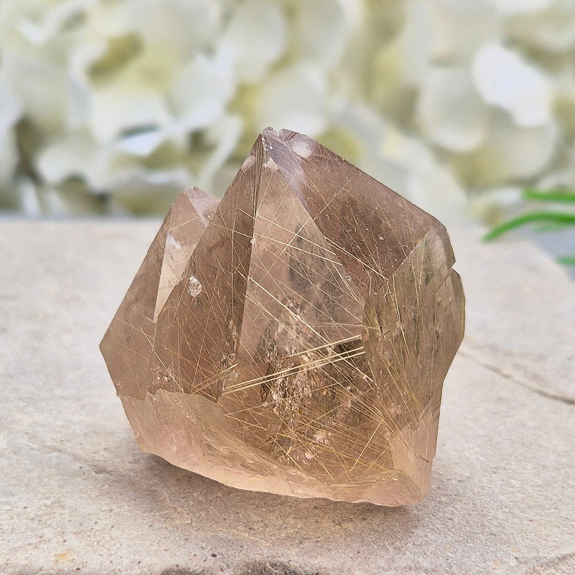 Golden Rutilated Quartz multi-point crystal from Brazil featuring fine golden rutile needles. A striking natural specimen associated with focus, motivation, and fresh ideas.