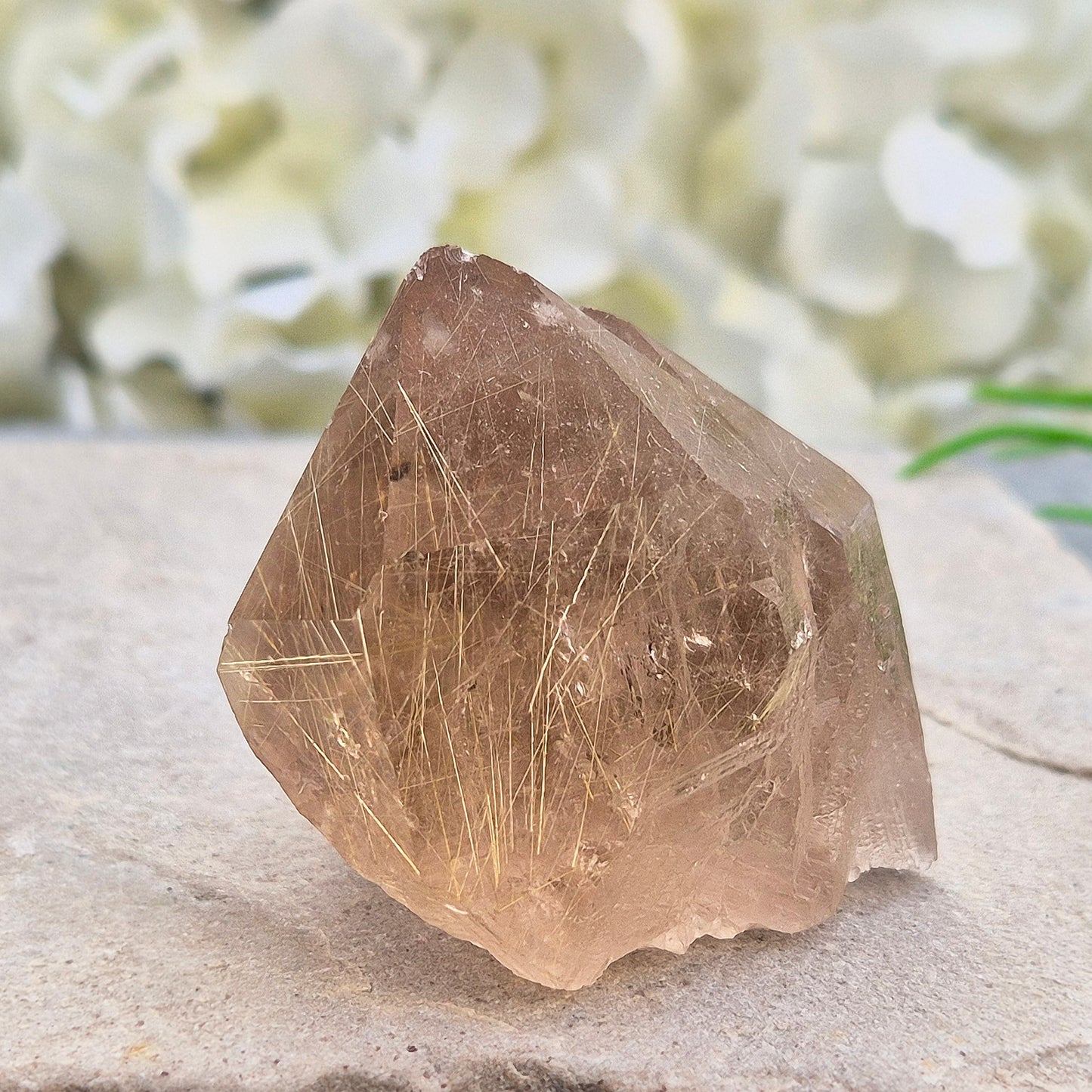 Golden Rutilated Quartz multi-point crystal from Brazil featuring fine golden rutile needles. A striking natural specimen associated with focus, motivation, and fresh ideas.