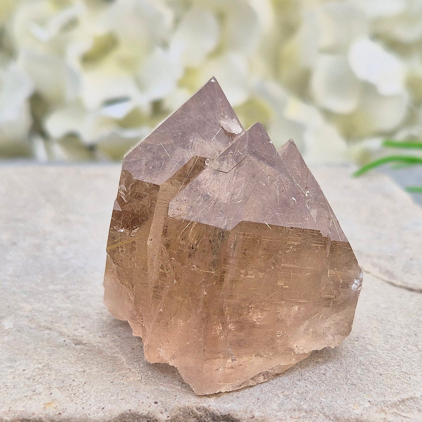 Golden Rutilated Quartz multi-point crystal from Brazil featuring fine golden rutile needles. A striking natural specimen associated with focus, motivation, and fresh ideas.