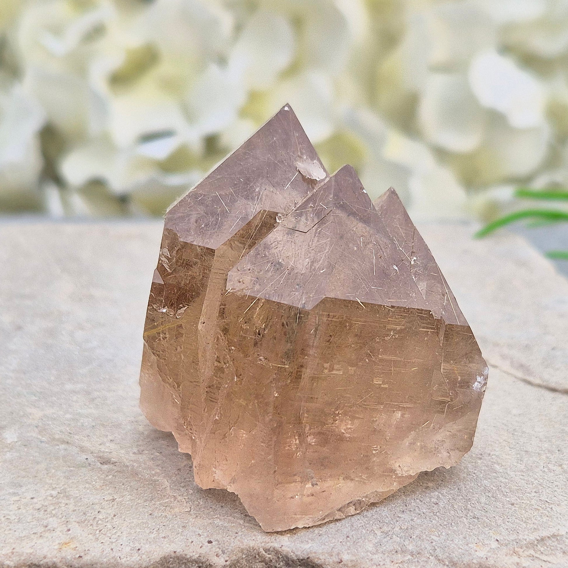 Golden Rutilated Quartz multi-point crystal from Brazil featuring fine golden rutile needles. A striking natural specimen associated with focus, motivation, and fresh ideas.