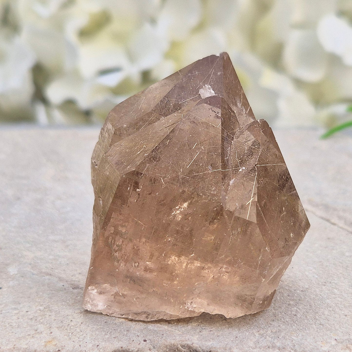 Golden Rutilated Quartz multi-point crystal from Brazil featuring fine golden rutile needles. A striking natural specimen associated with focus, motivation, and fresh ideas.