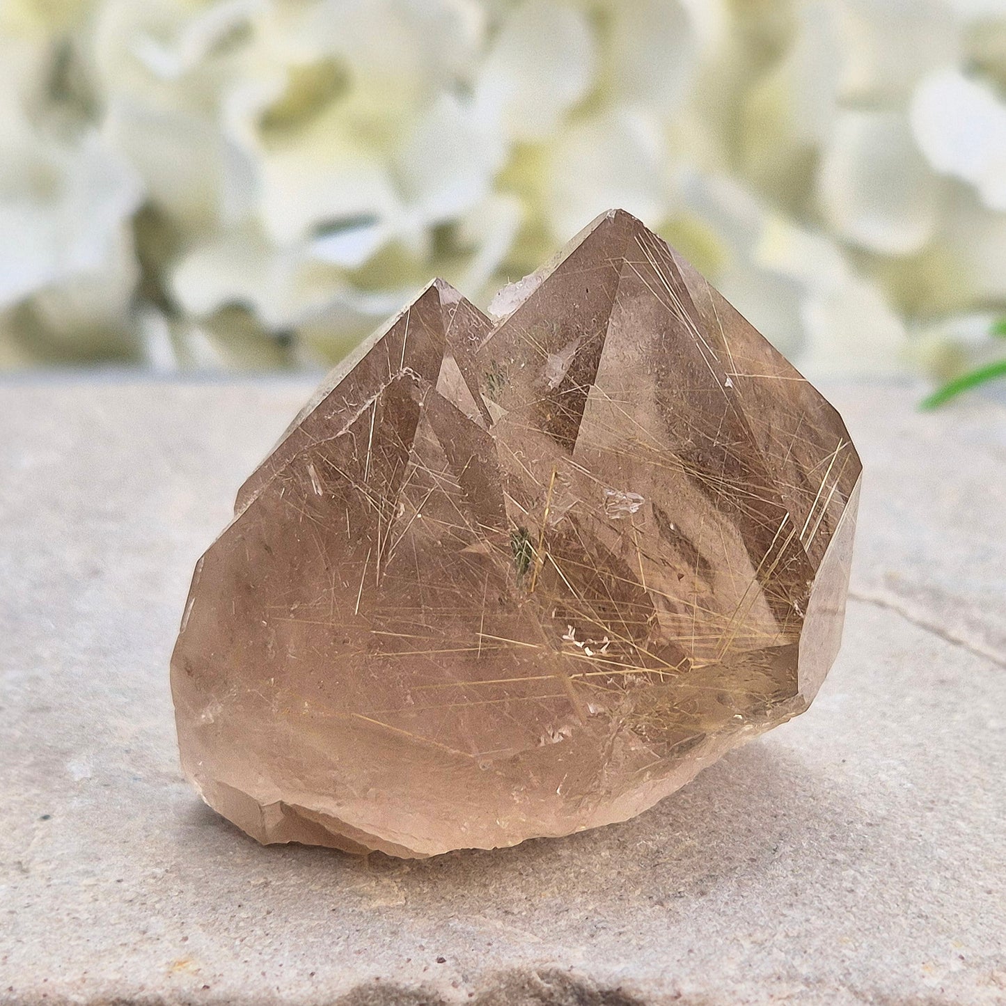 Golden Rutilated Quartz multi-point crystal from Brazil featuring fine golden rutile needles. A striking natural specimen associated with focus, motivation, and fresh ideas.