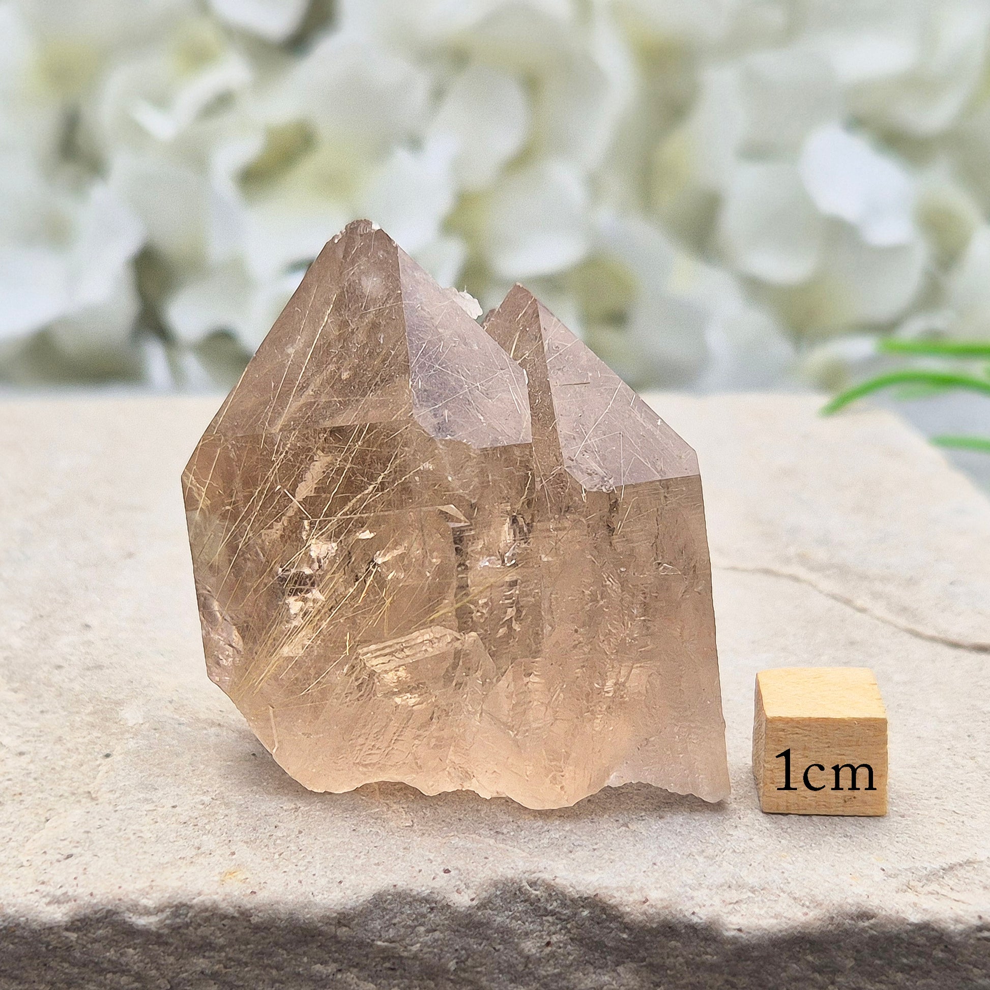 Golden Rutilated Quartz multi-point crystal from Brazil featuring fine golden rutile needles. A striking natural specimen associated with focus, motivation, and fresh ideas.