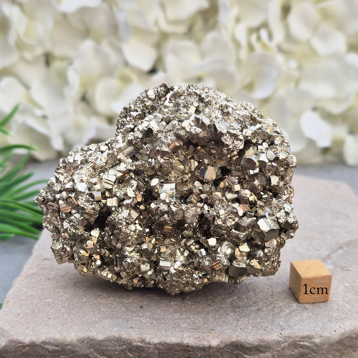 Natural pyrite crystal cluster from Peru featuring defined cubes & rich gold lustre. A striking, light-catching piece for home decor, desks, or crystal lovers.