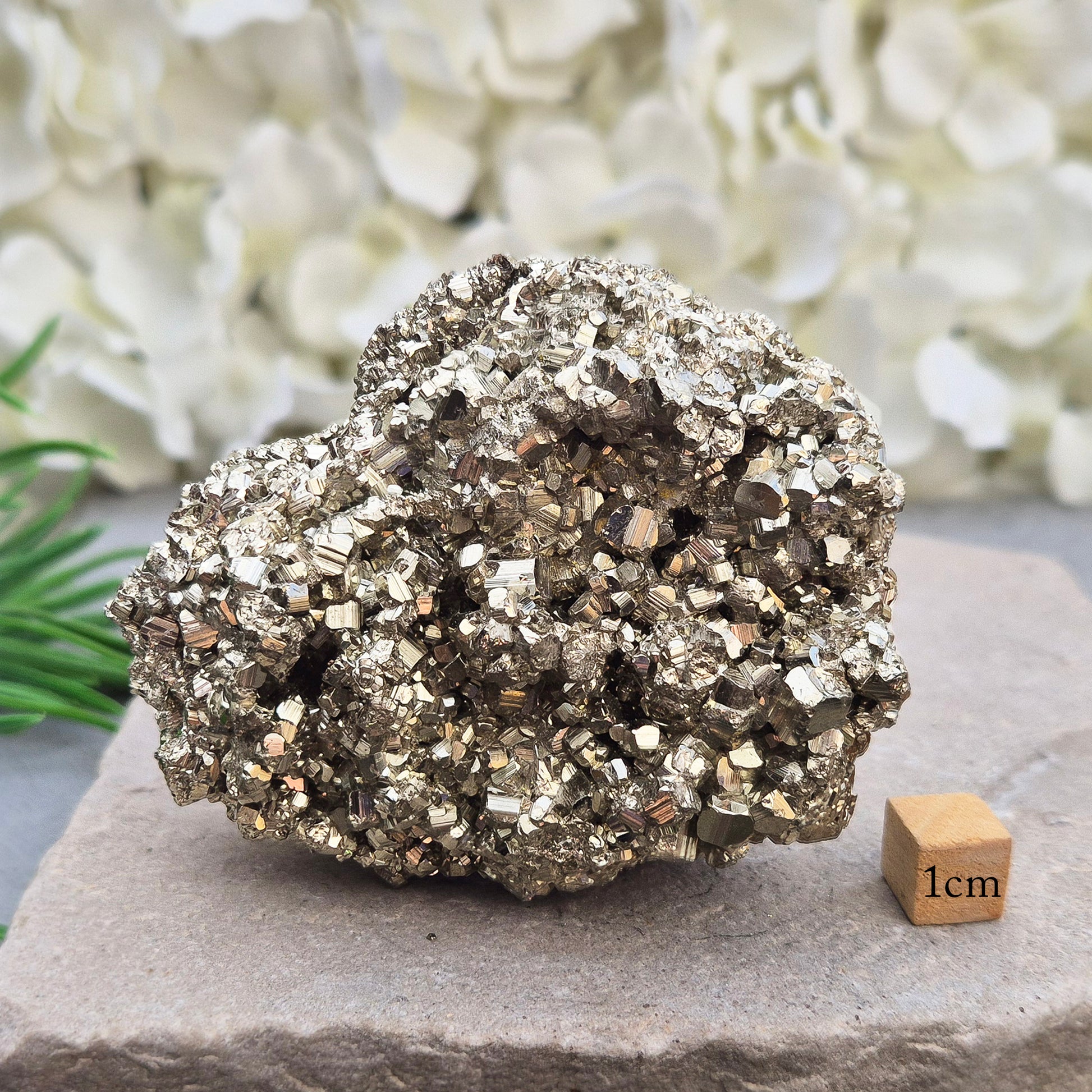 Natural pyrite crystal cluster from Peru featuring defined cubes & rich gold lustre. A striking, light-catching piece for home decor, desks, or crystal lovers.