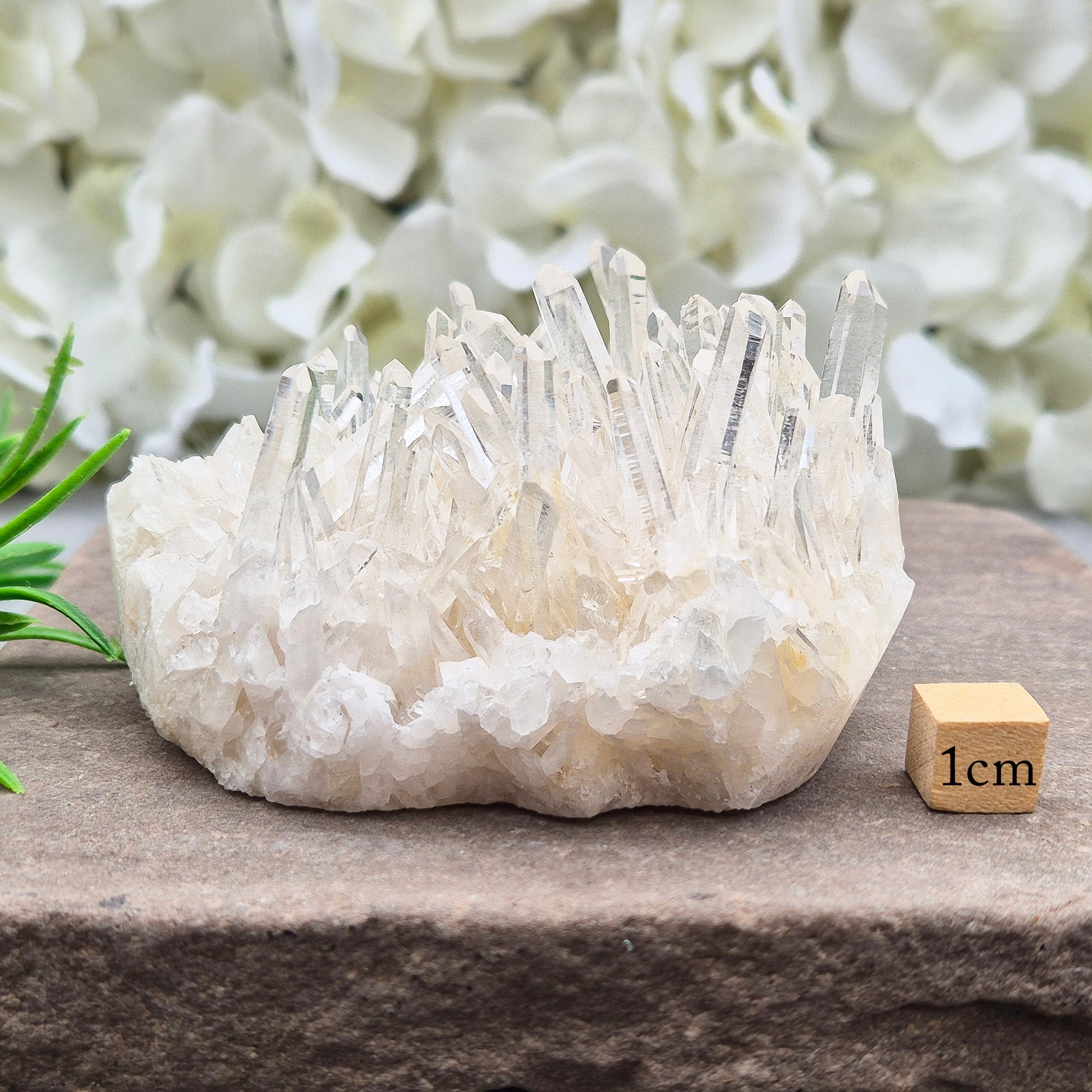 AA Himalayan Quartz Cluster from India. High-altitude, hand-mined crystal for grounding, focus, energy balance and amplifying other stones.