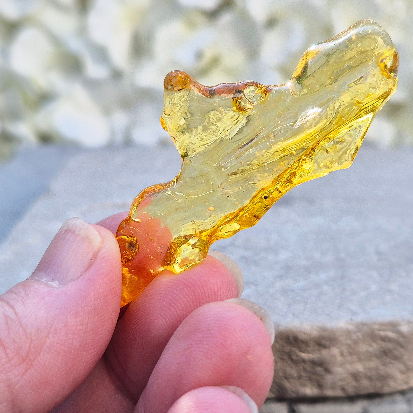 Copal Amber, Colombian
