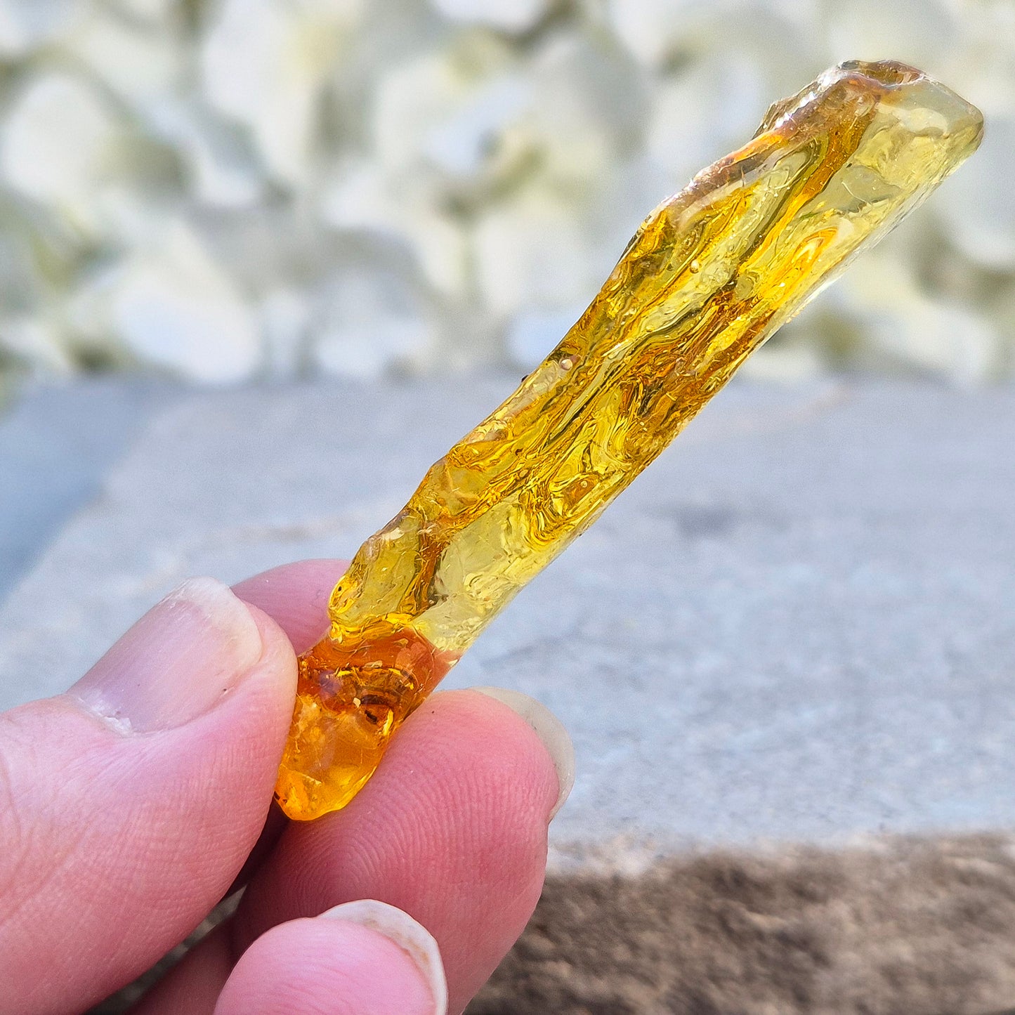 Copal Amber, Colombian