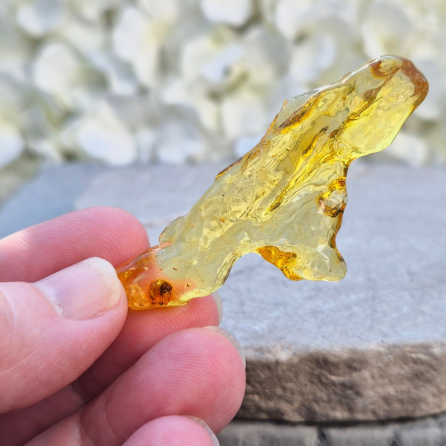 Copal Amber, Colombian