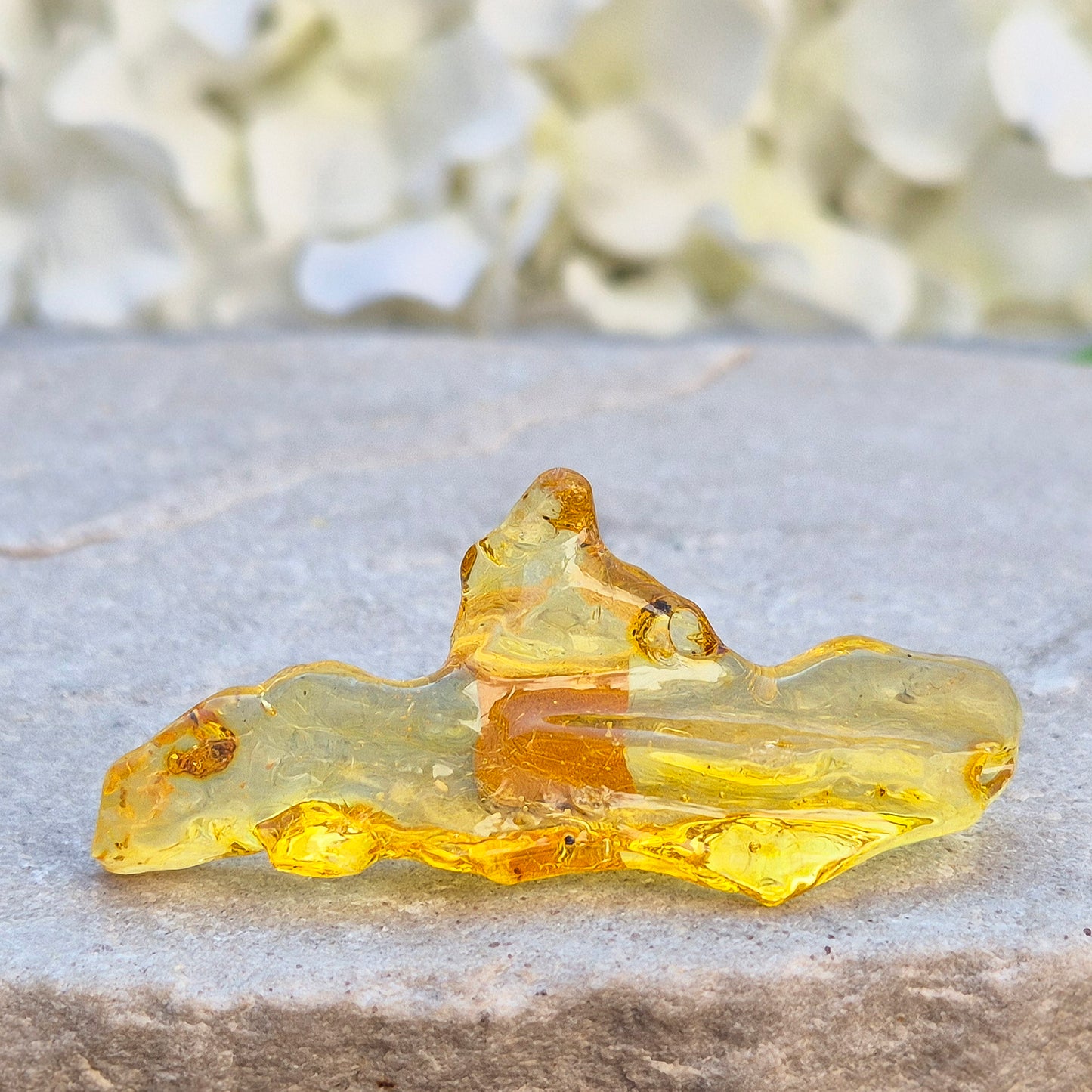 Copal Amber, Colombian