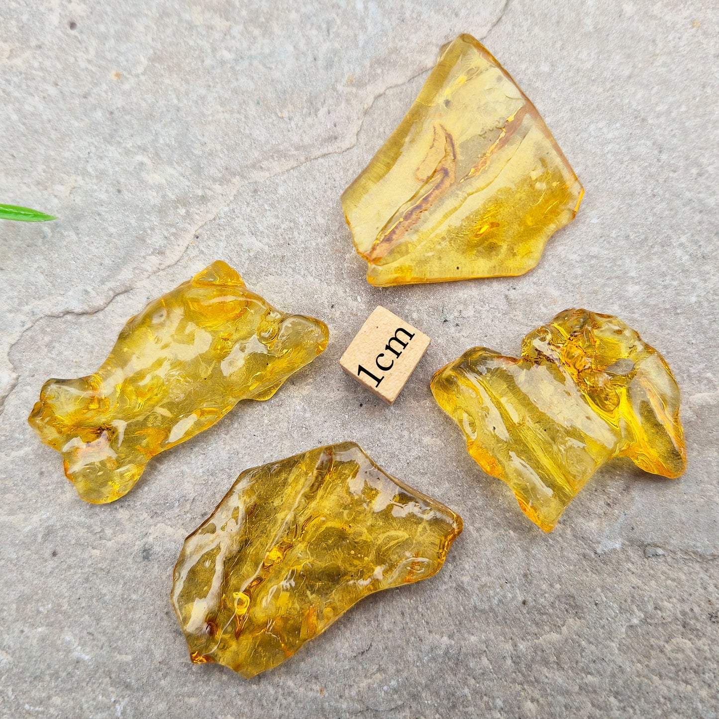 Colombian Copal Amber. Copal is younger than traditional Baltic Amber, which gives it a brighter, more sunlit appearance and a lighter energetic feel in the hand.