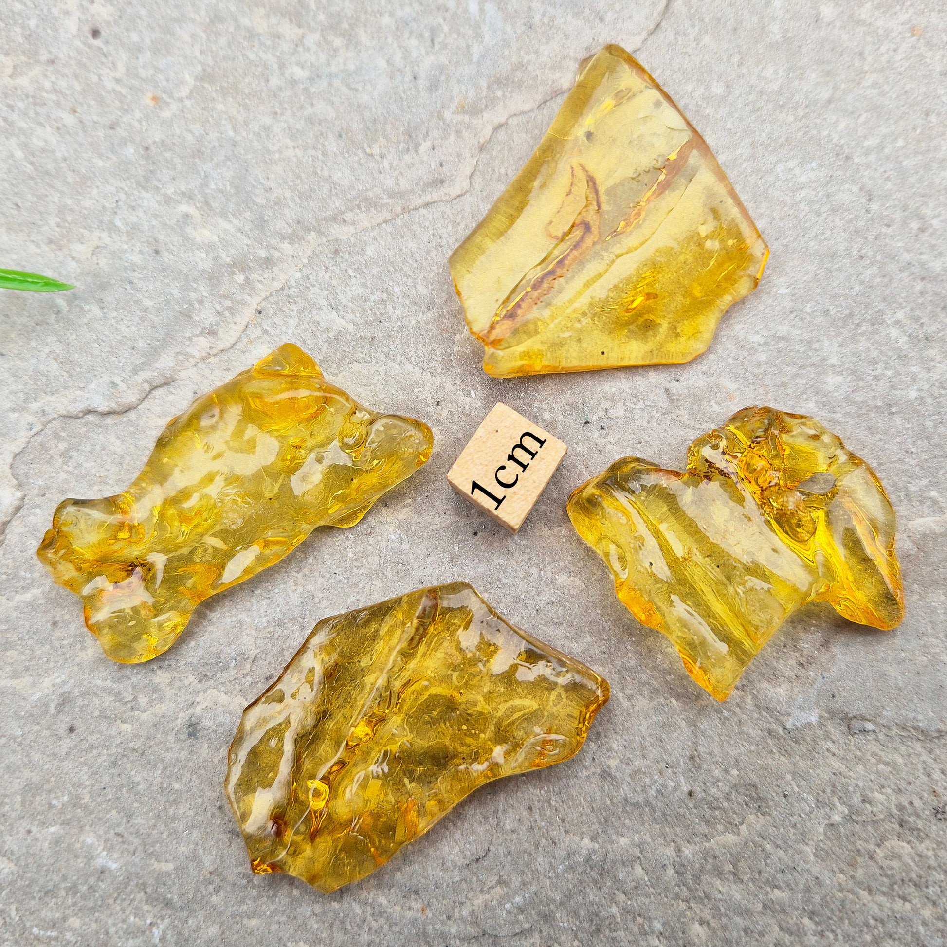 Colombian Copal Amber. Copal is younger than traditional Baltic Amber, which gives it a brighter, more sunlit appearance and a lighter energetic feel in the hand.