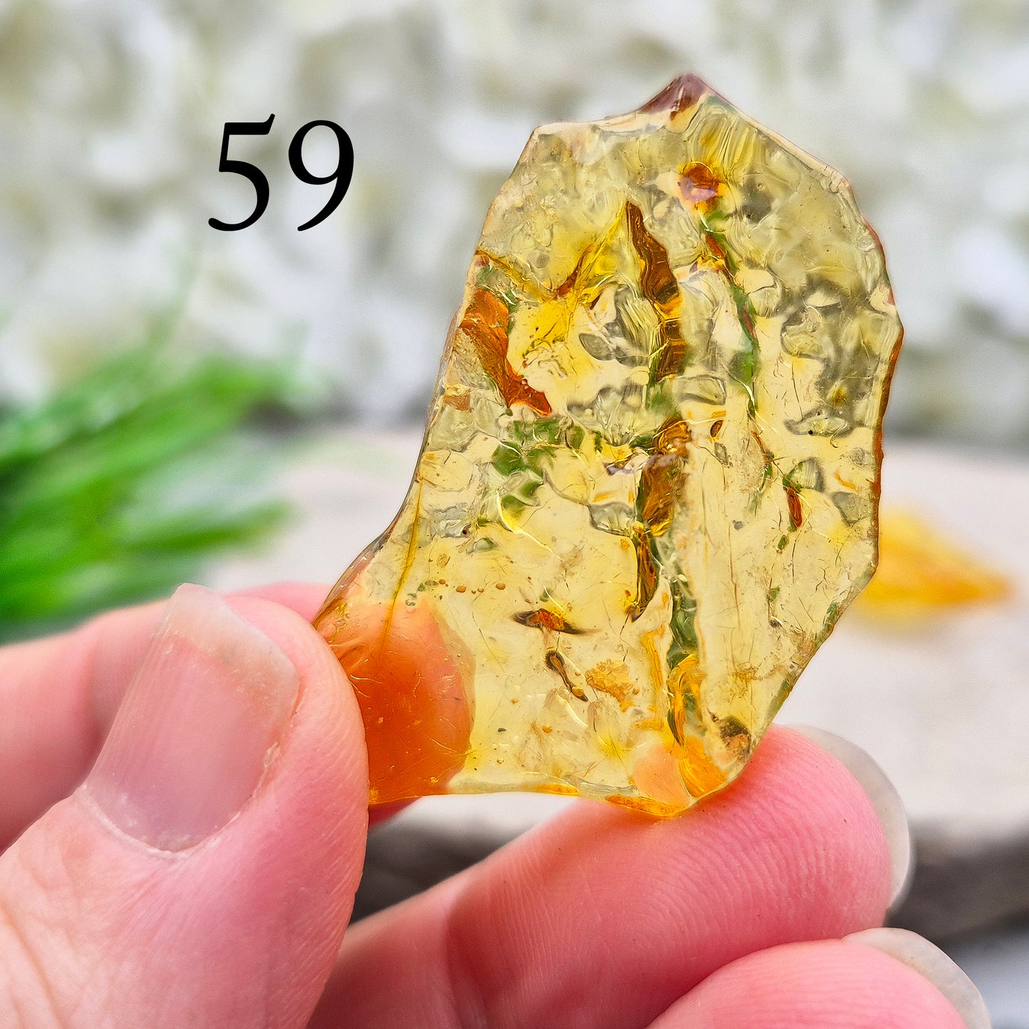 Copal Amber, Colombian