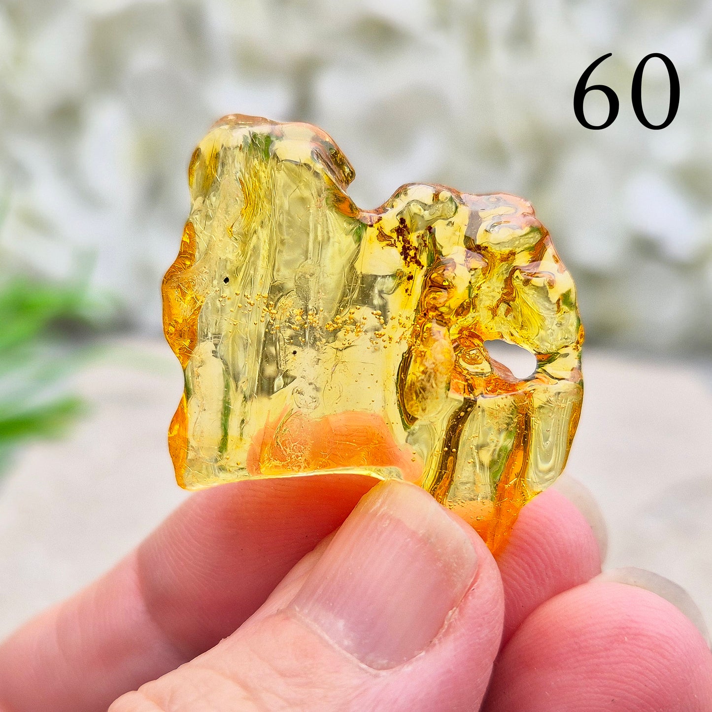Copal Amber, Colombian